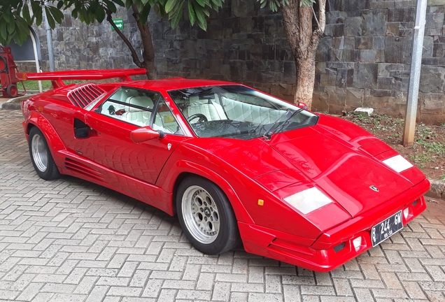 Lamborghini Countach 25th Anniversary