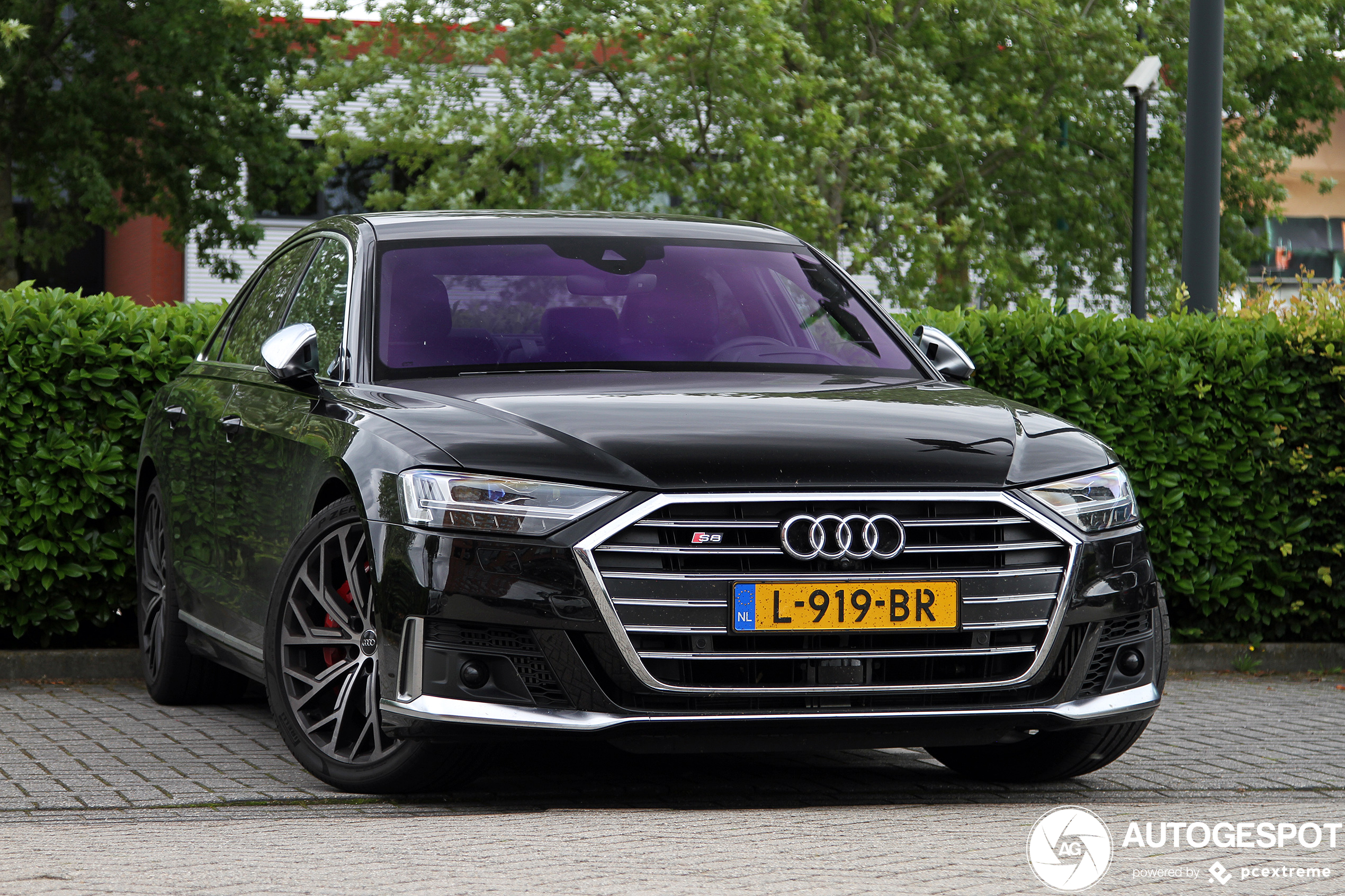 Audi S8 D5