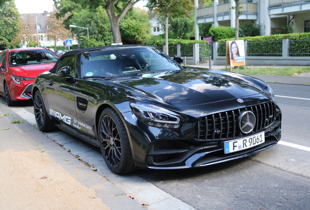 Mercedes-AMG GT Roadster R190 2019