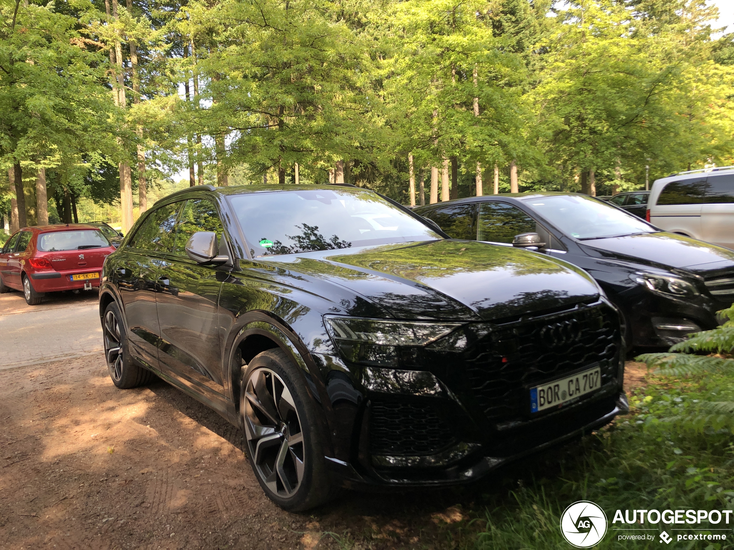 Audi RS Q8