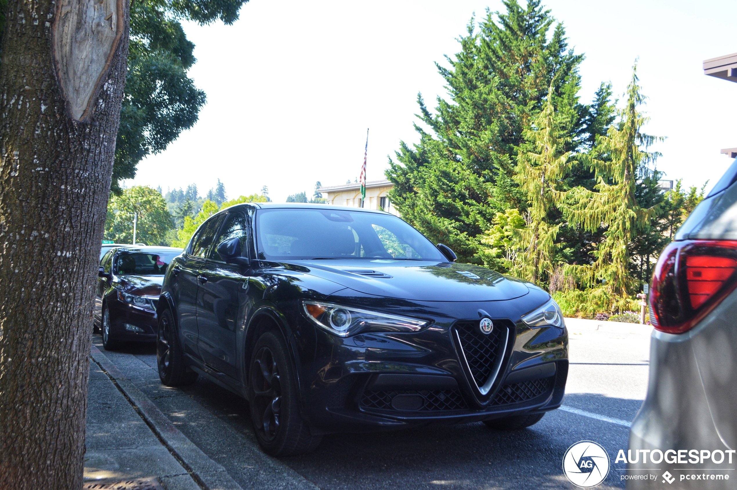 Alfa Romeo Stelvio Quadrifoglio