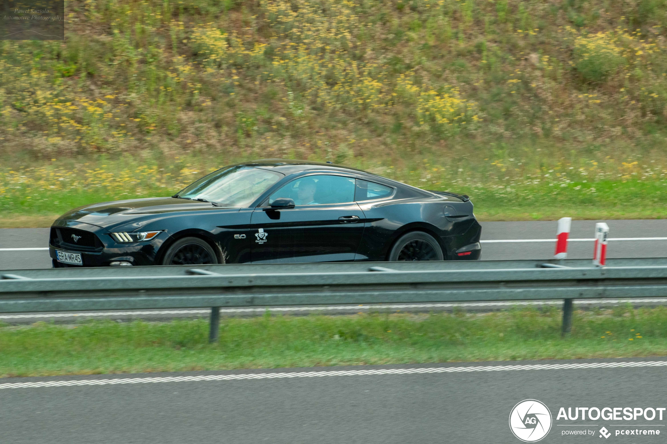 Ford Mustang GT 2015