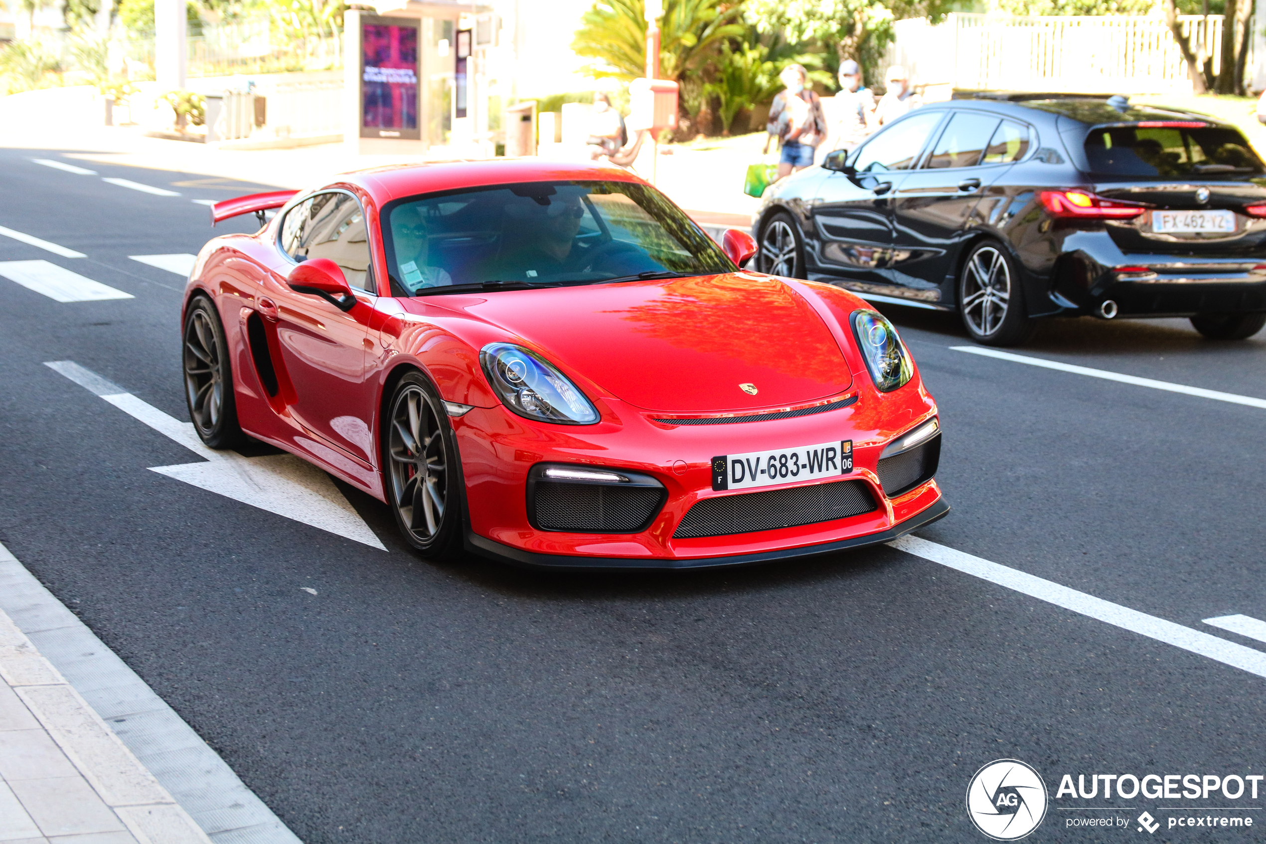 Porsche 981 Cayman GT4