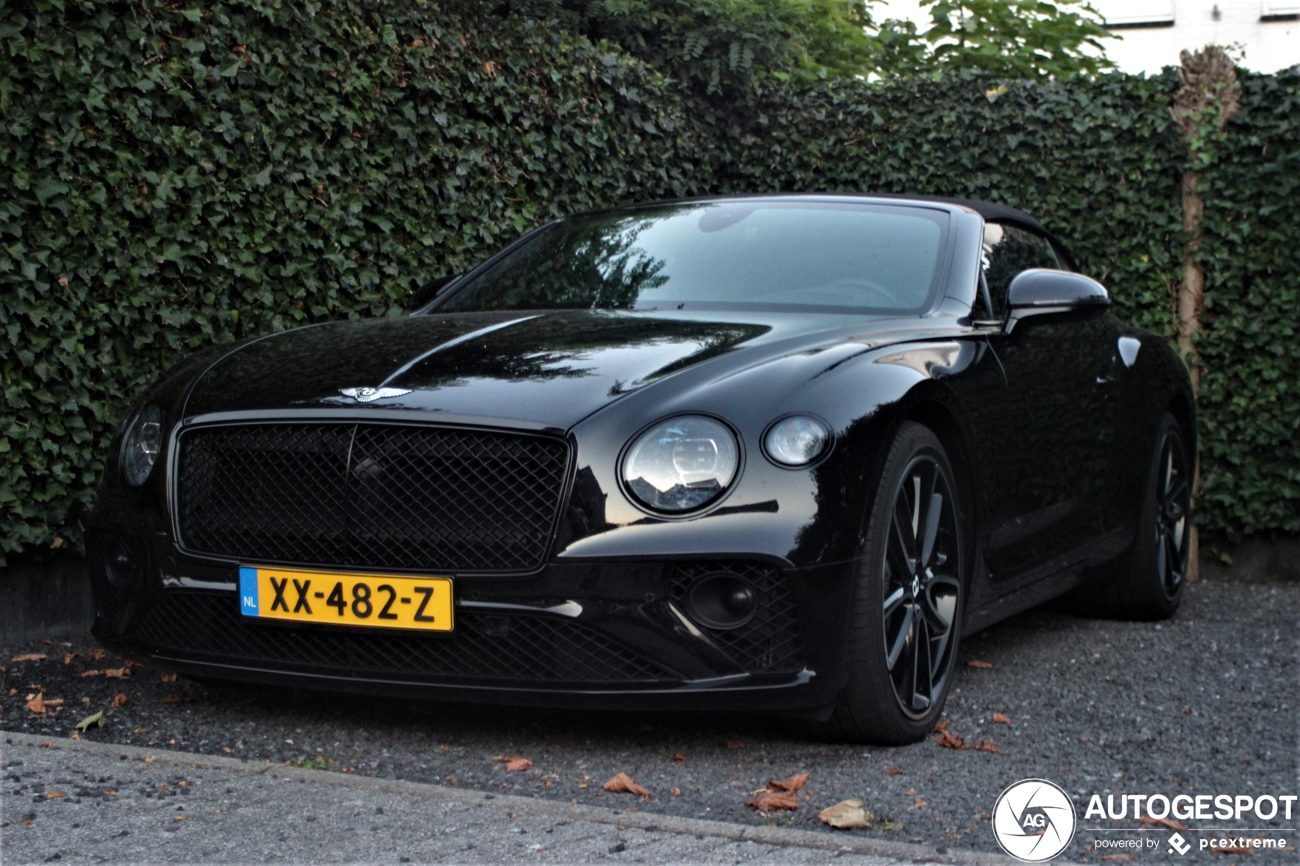 Bentley Continental GTC 2019