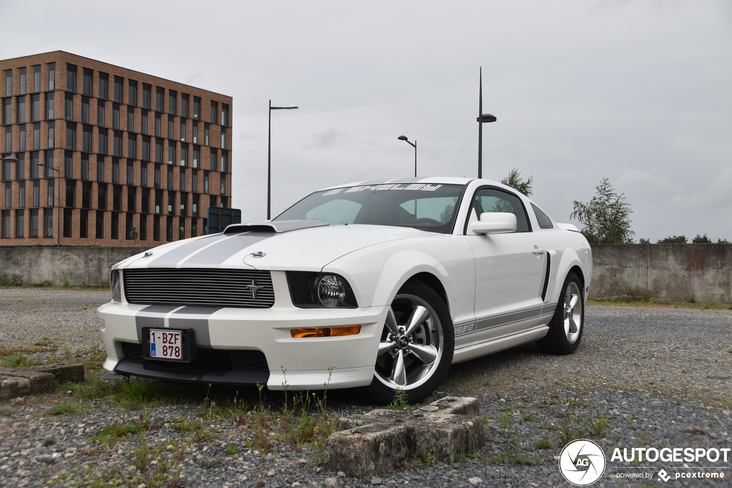 Ford Mustang Shelby GT