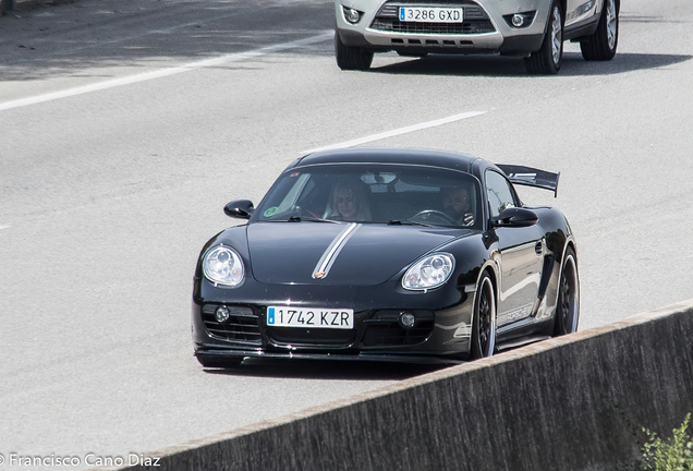 Porsche 987 Cayman S