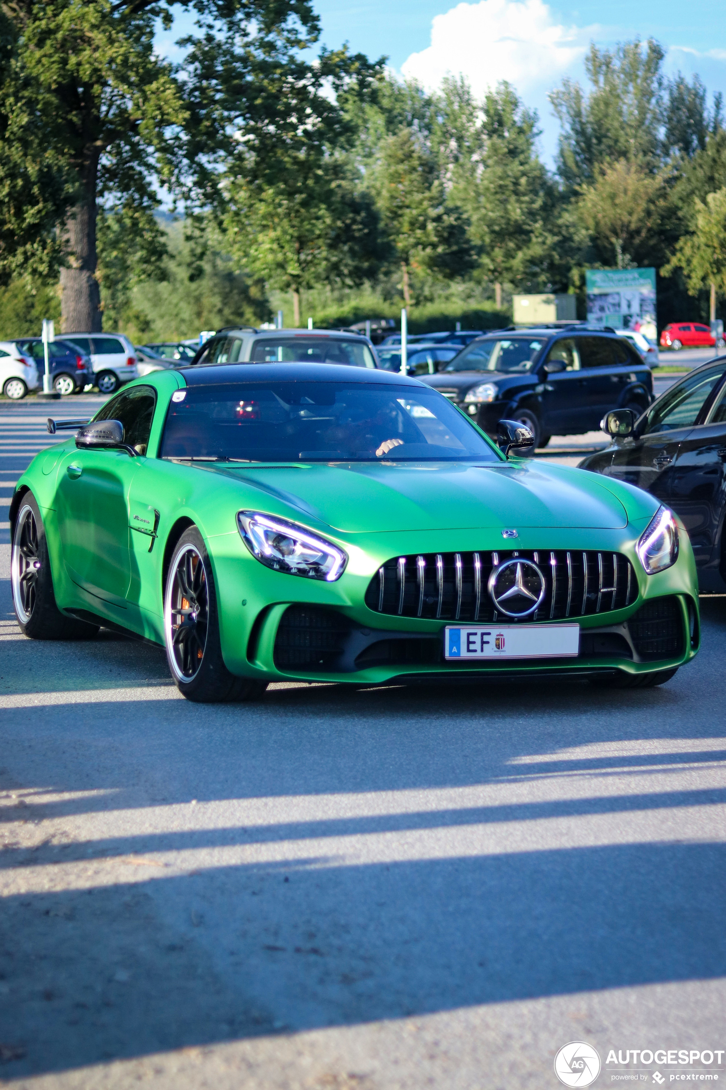 Mercedes-AMG GT R C190