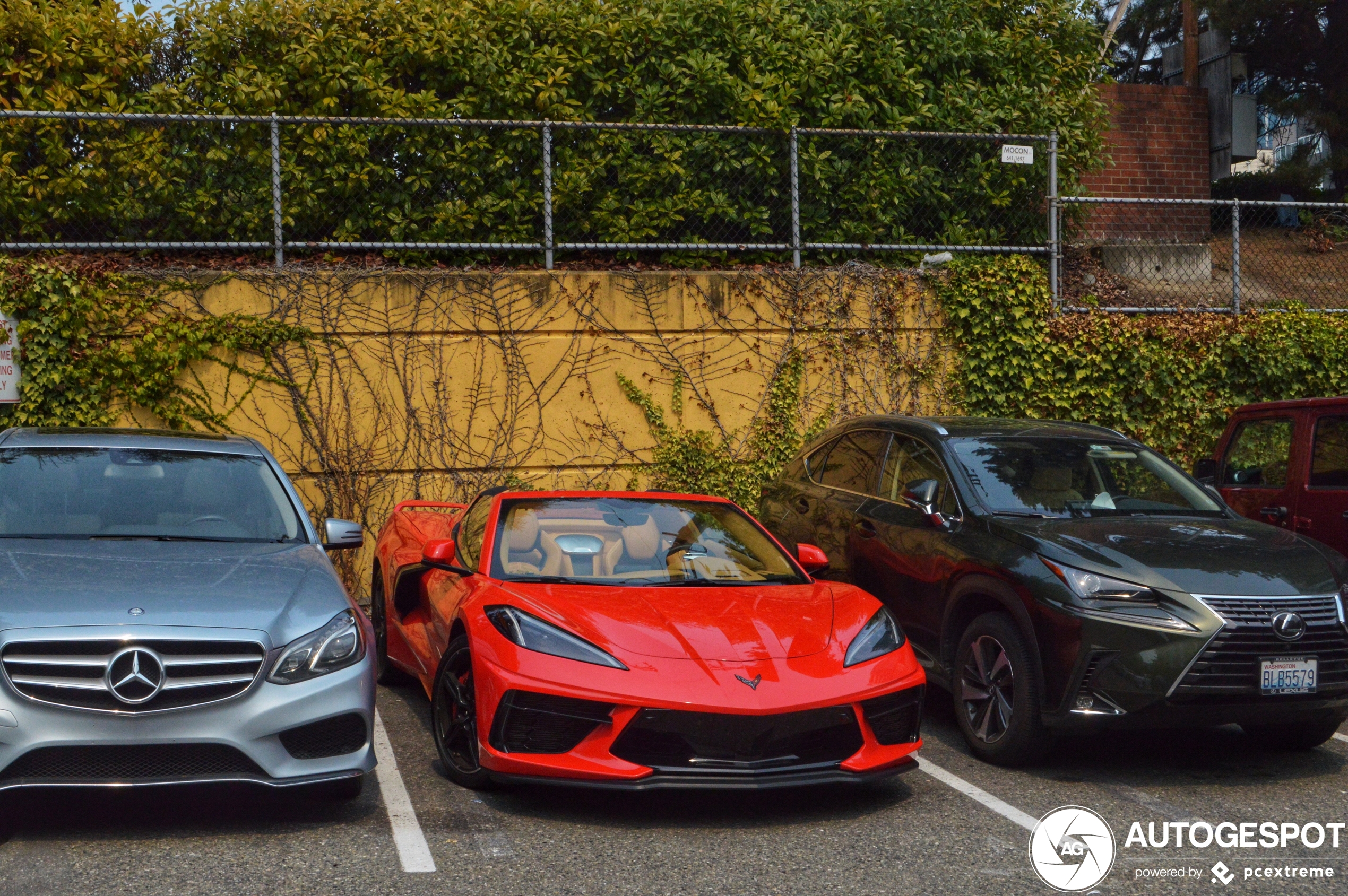 Chevrolet Corvette C8 Convertible