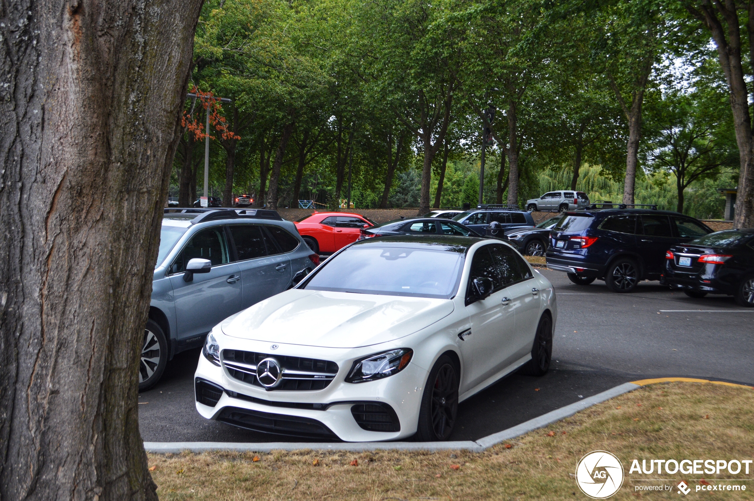 Mercedes-AMG E 63 W213