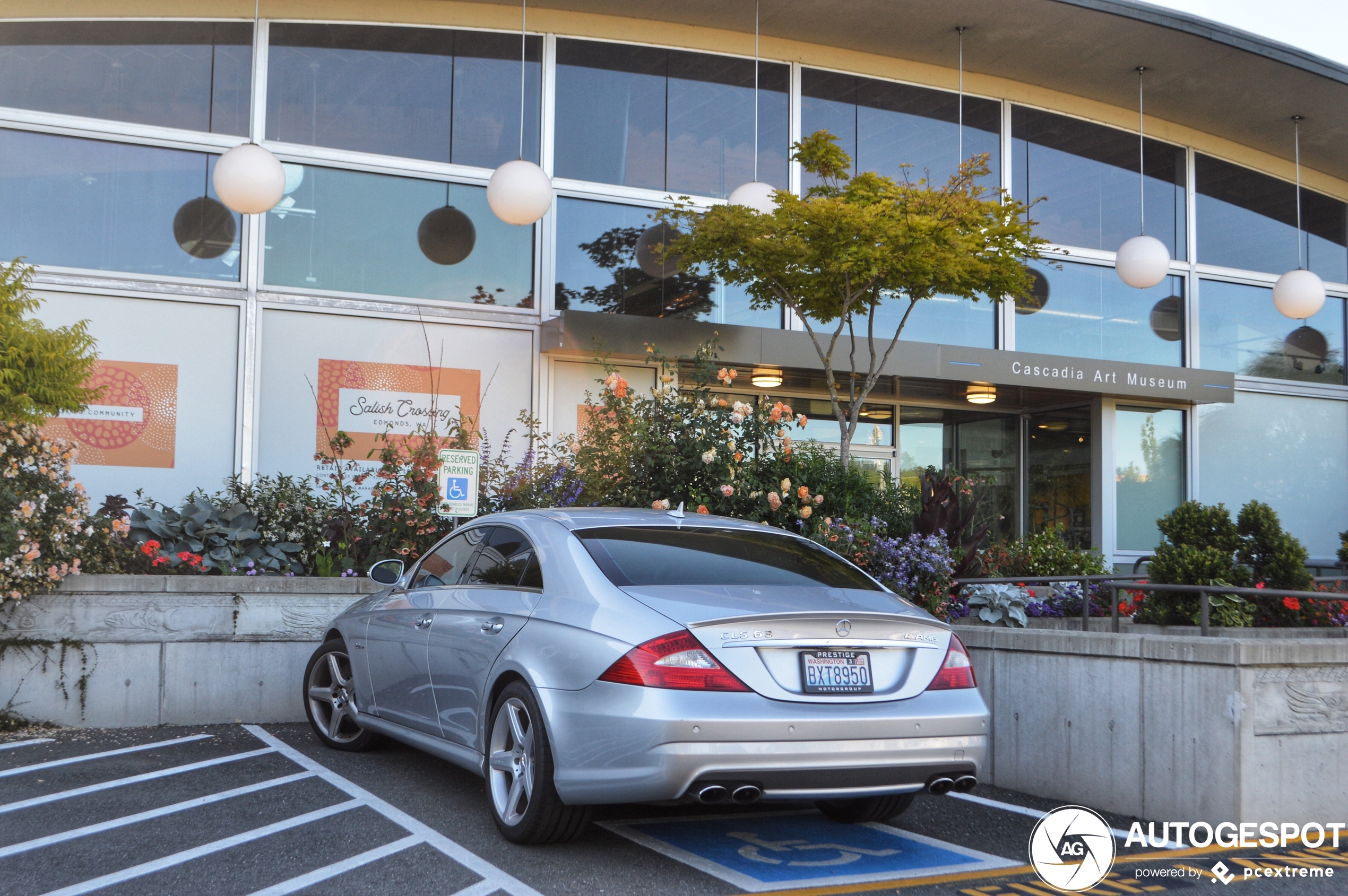 Mercedes-Benz CLS 63 AMG C219