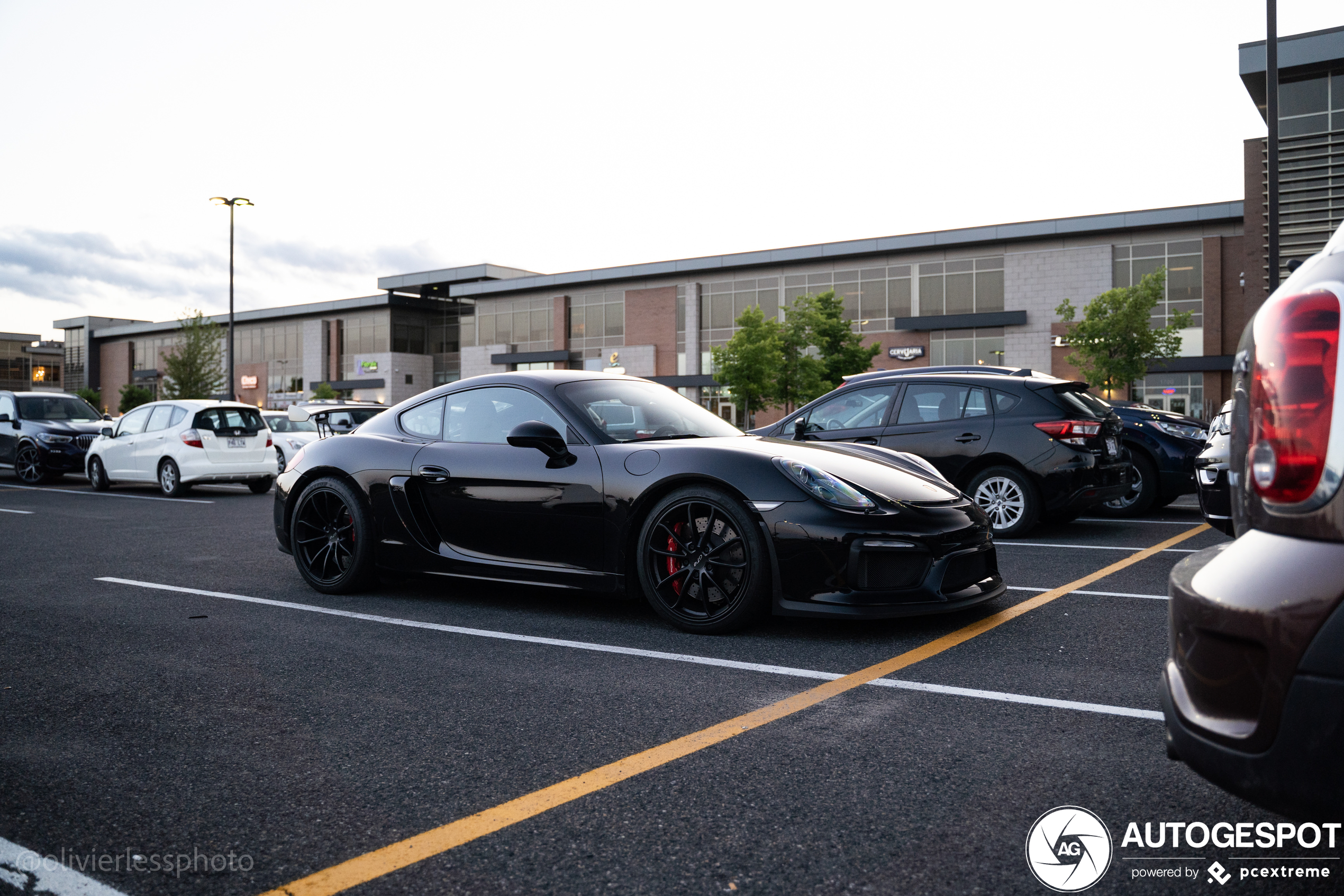 Porsche 981 Cayman GT4