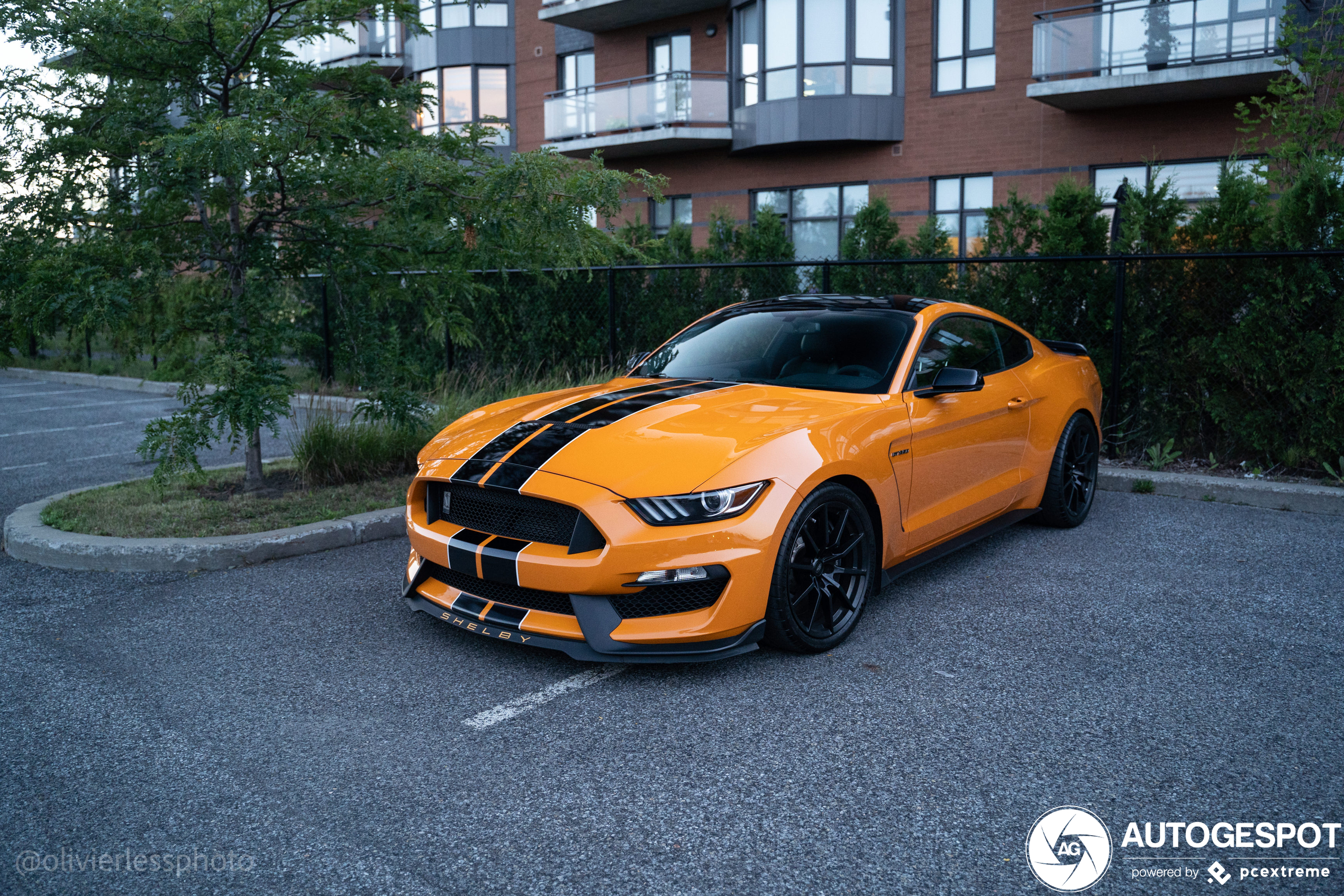 Ford Mustang Shelby GT350 2015