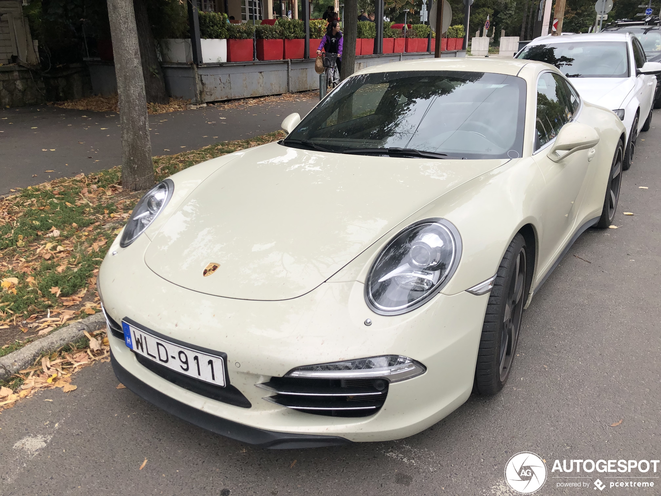 Porsche 991 50th Anniversary Edition