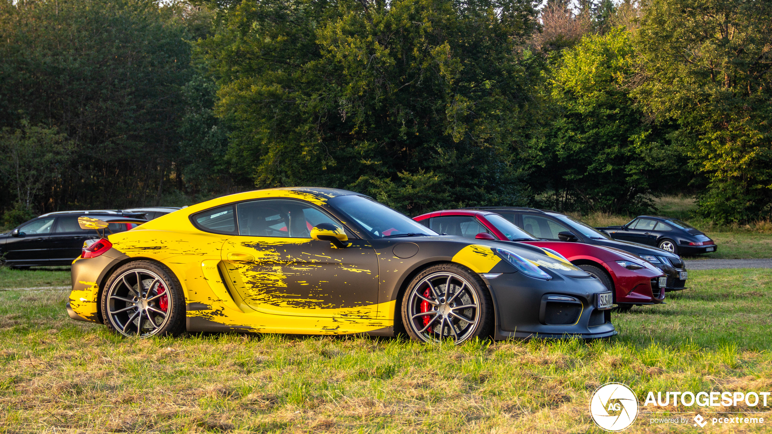 Porsche 981 Cayman GT4