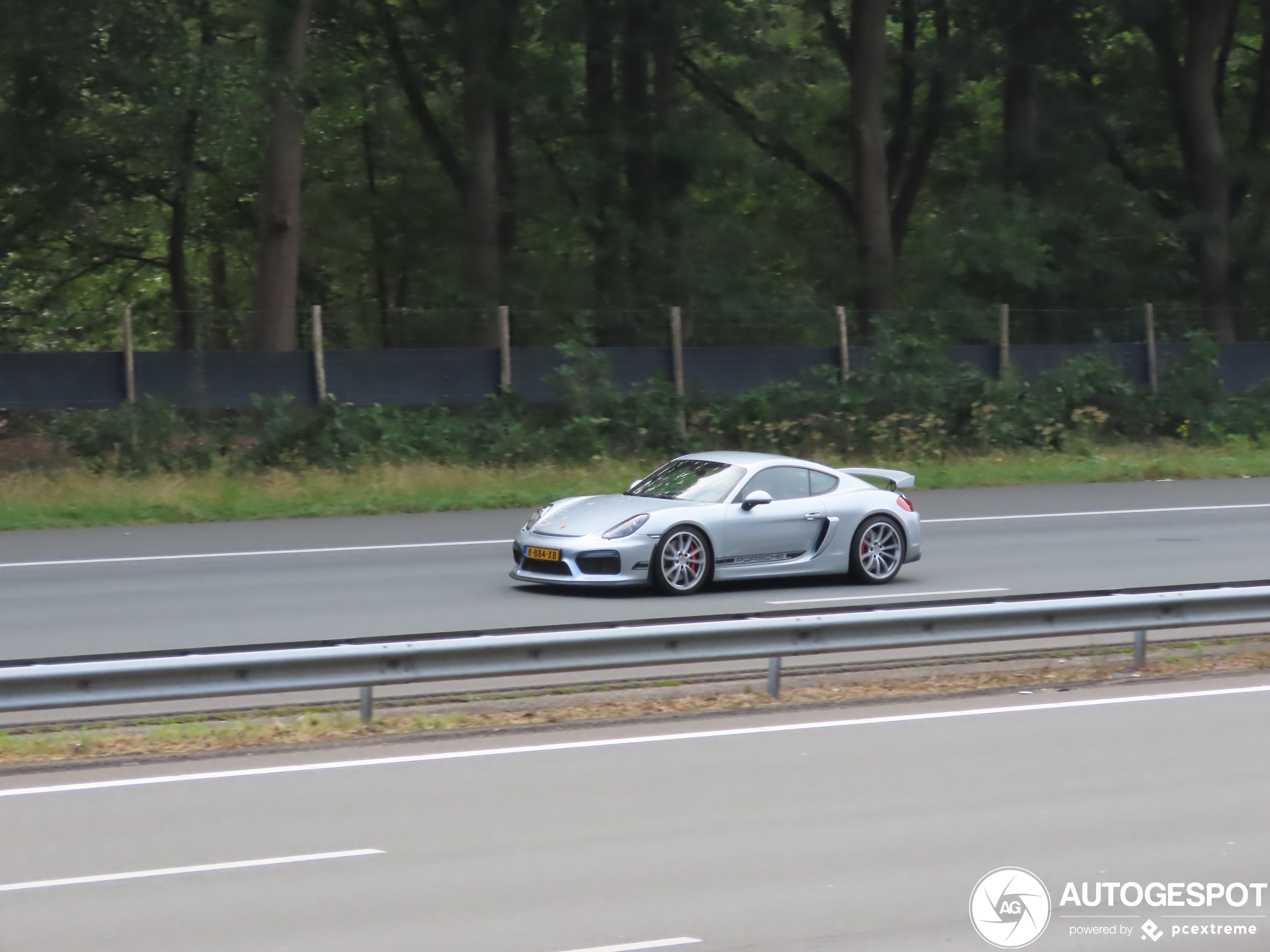 Porsche 981 Cayman GT4