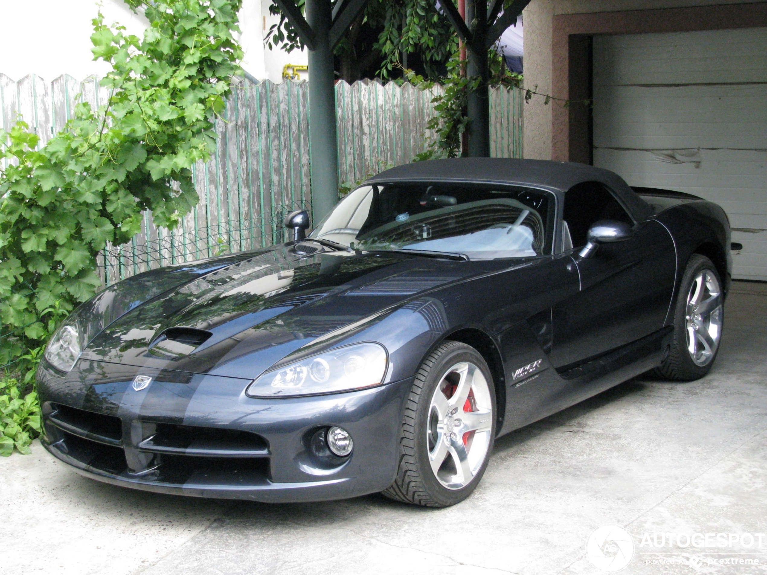 Dodge Viper SRT-10 Roadster 2008 Snakeskin Edition by Prefix