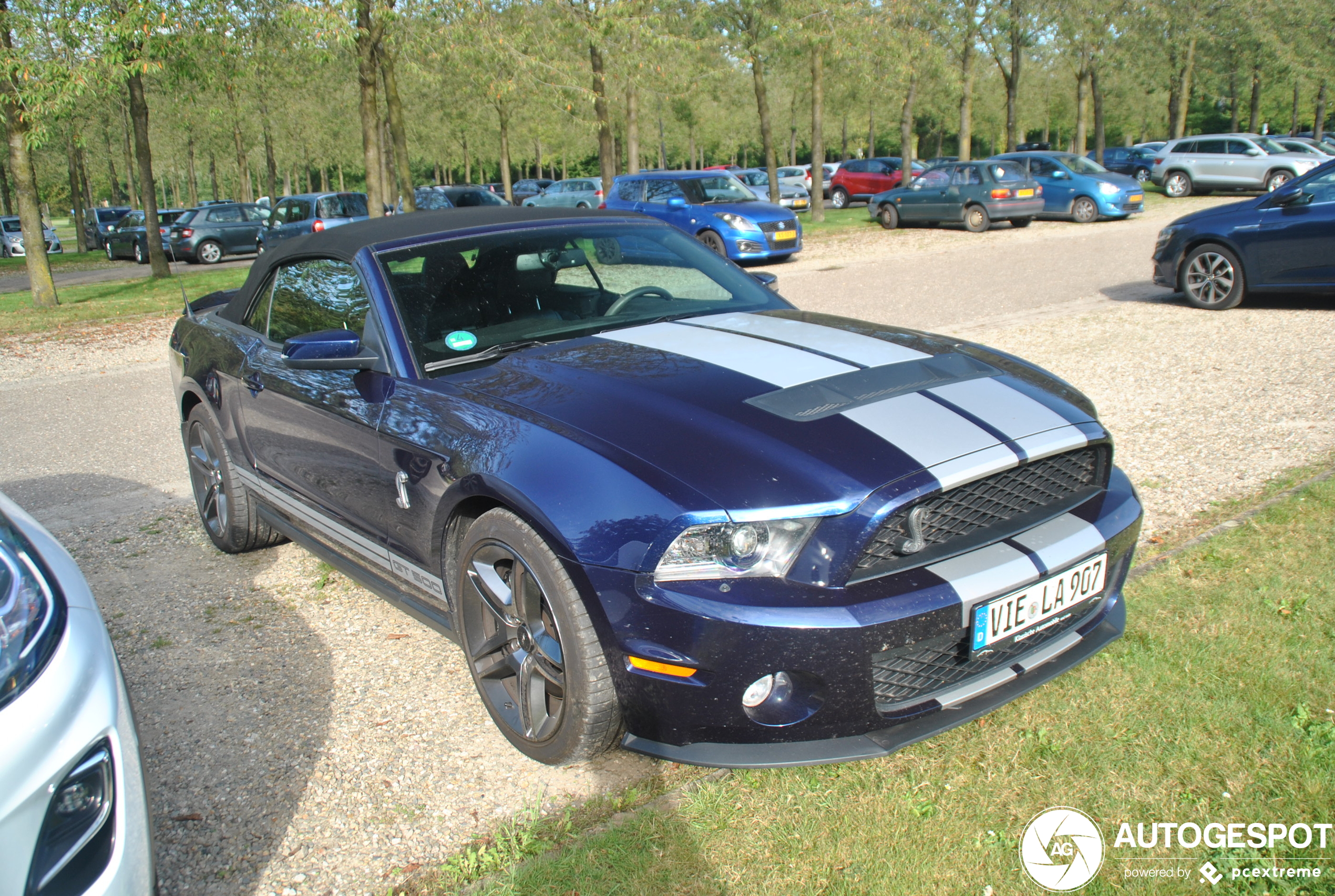 Ford Mustang Shelby GT500 Convertible 2010