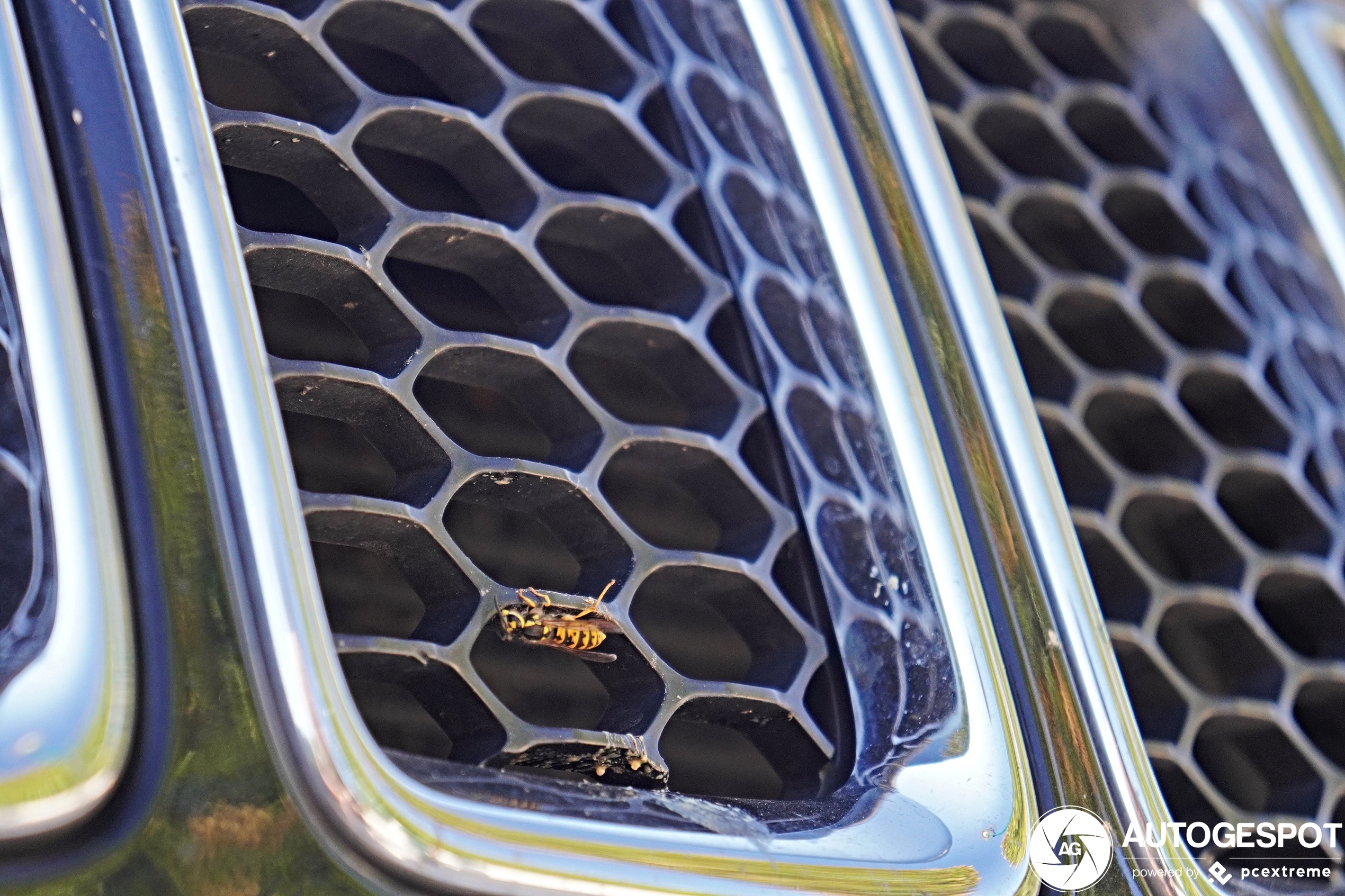 Jeep Grand Cherokee SRT 2013