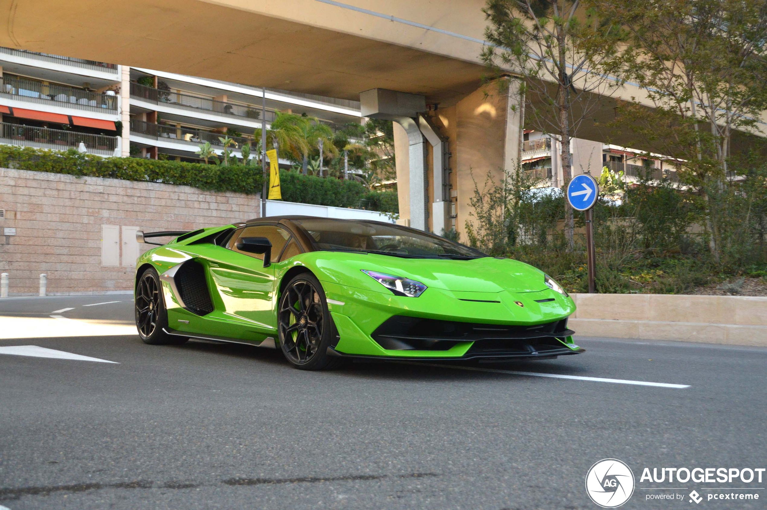 Lamborghini Aventador LP770-4 SVJ Roadster