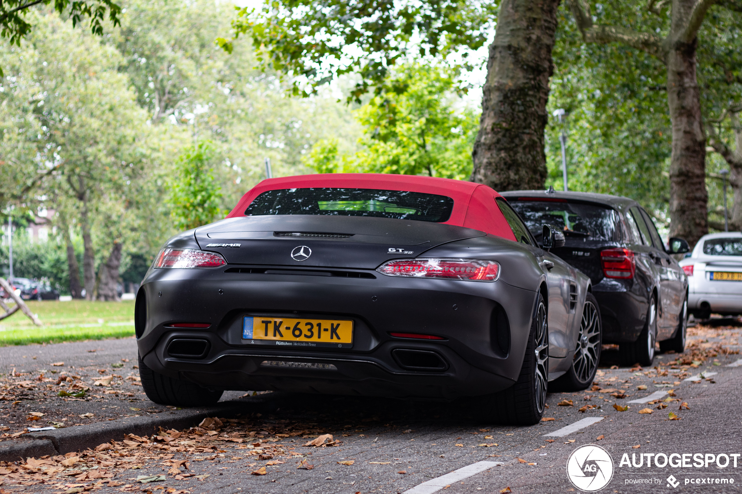 Mercedes-AMG GT C Roadster R190 Edition 50