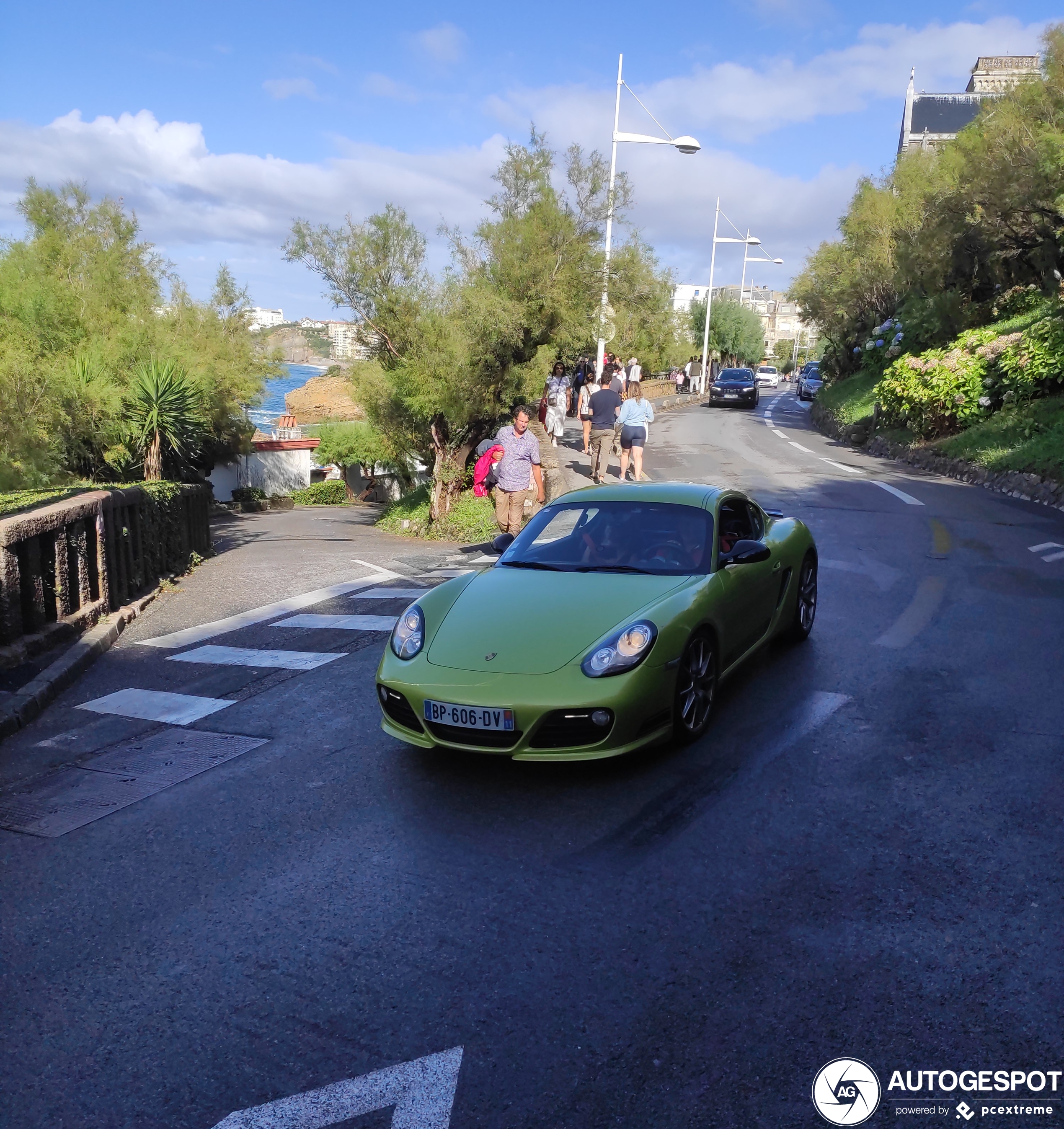 Porsche 987 Cayman R