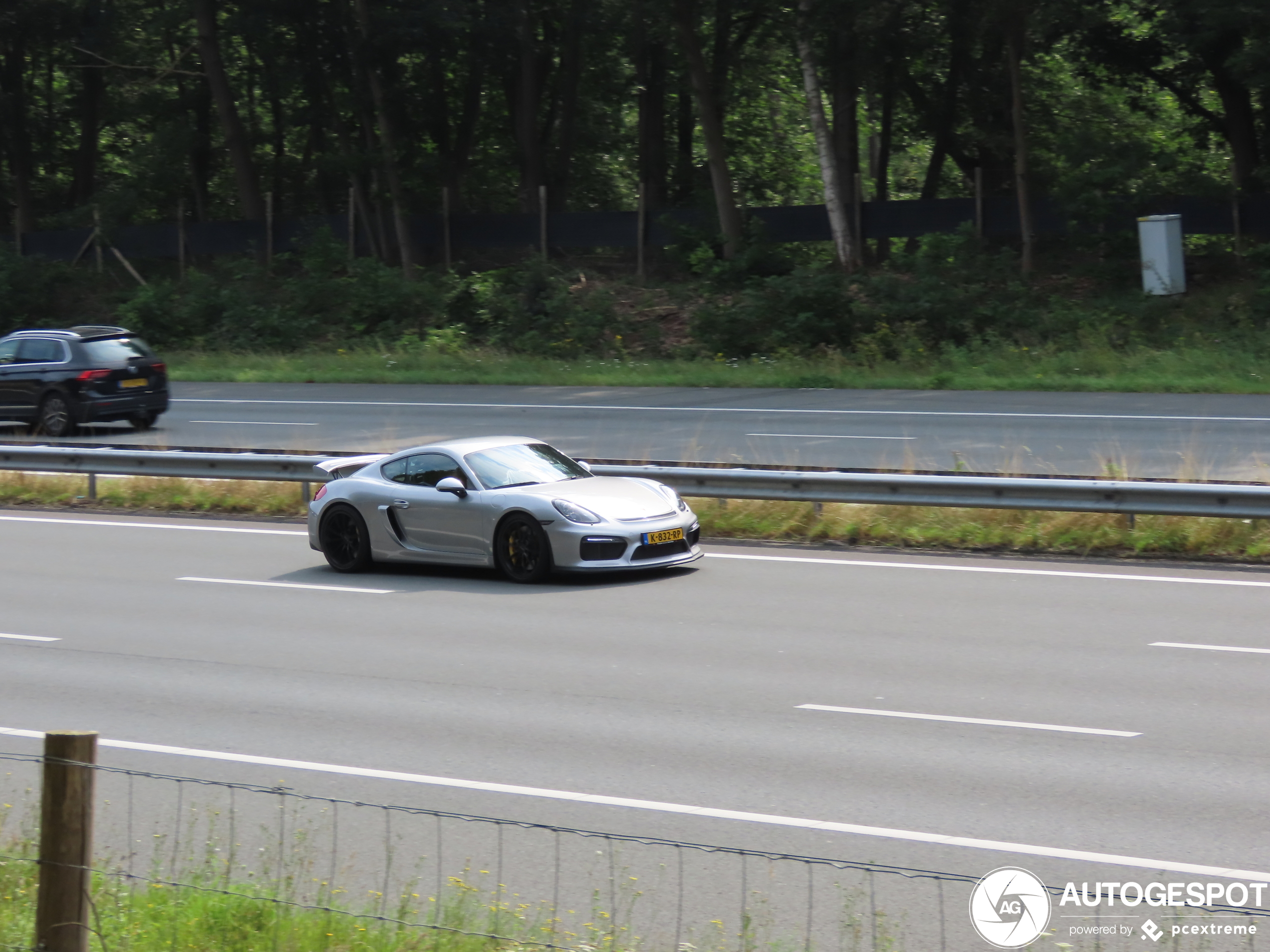 Porsche 981 Cayman GT4