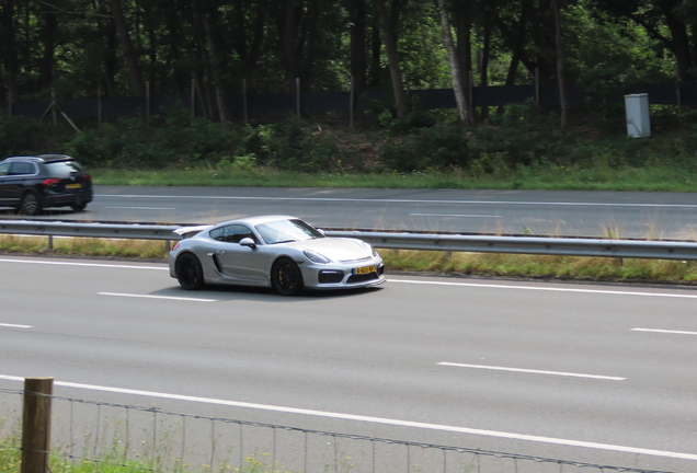 Porsche 981 Cayman GT4