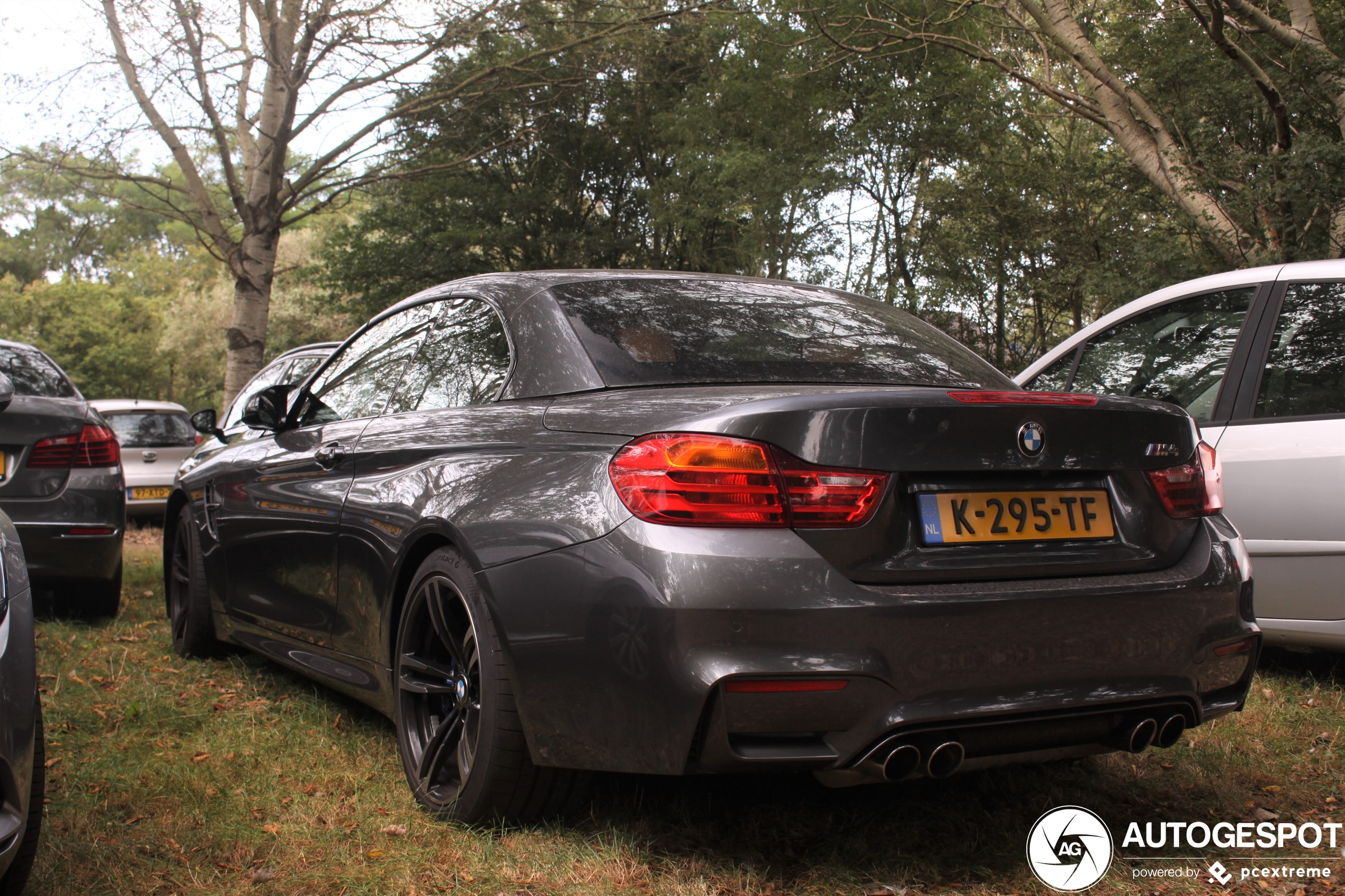 BMW M4 F83 Convertible