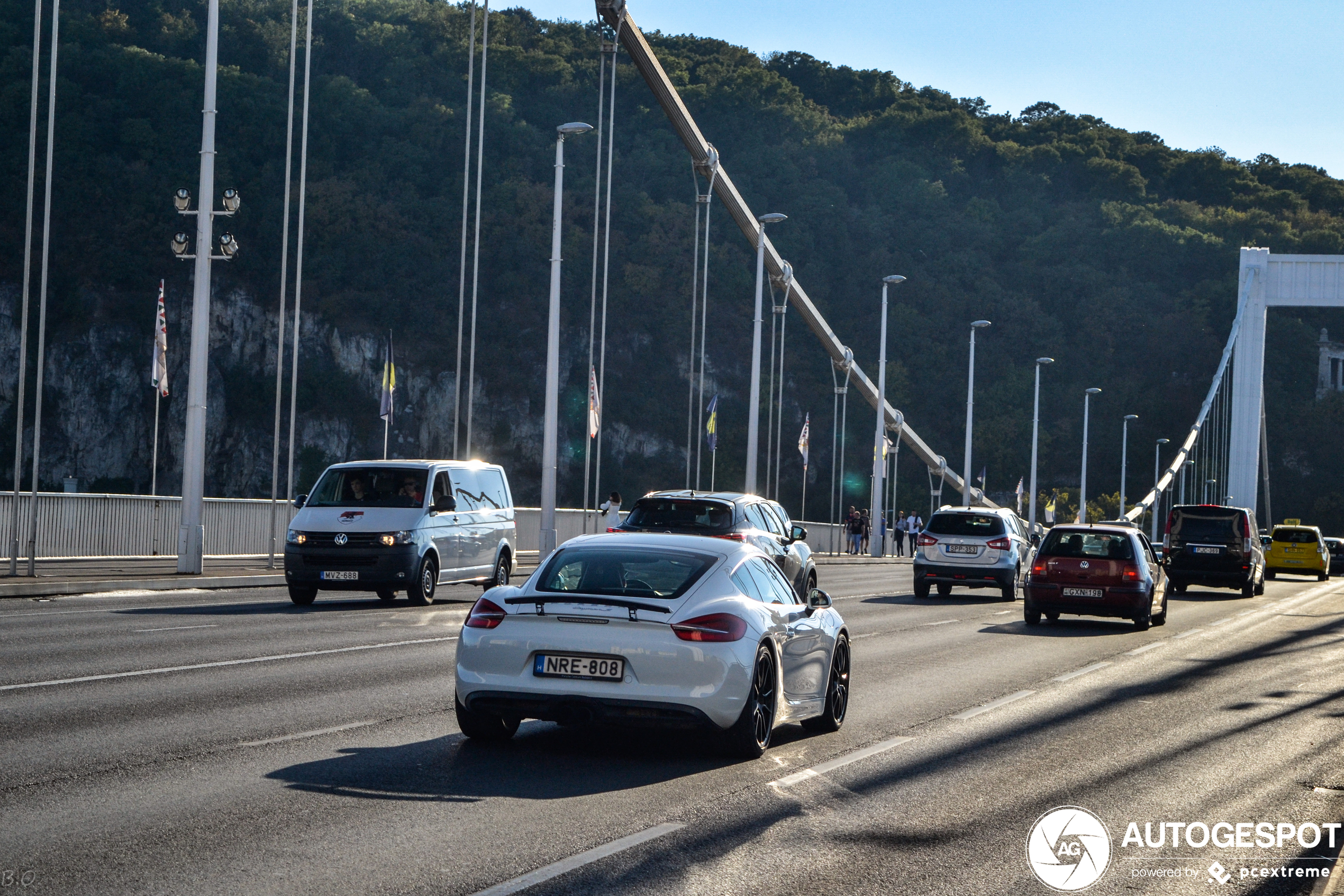 Porsche 981 Cayman S