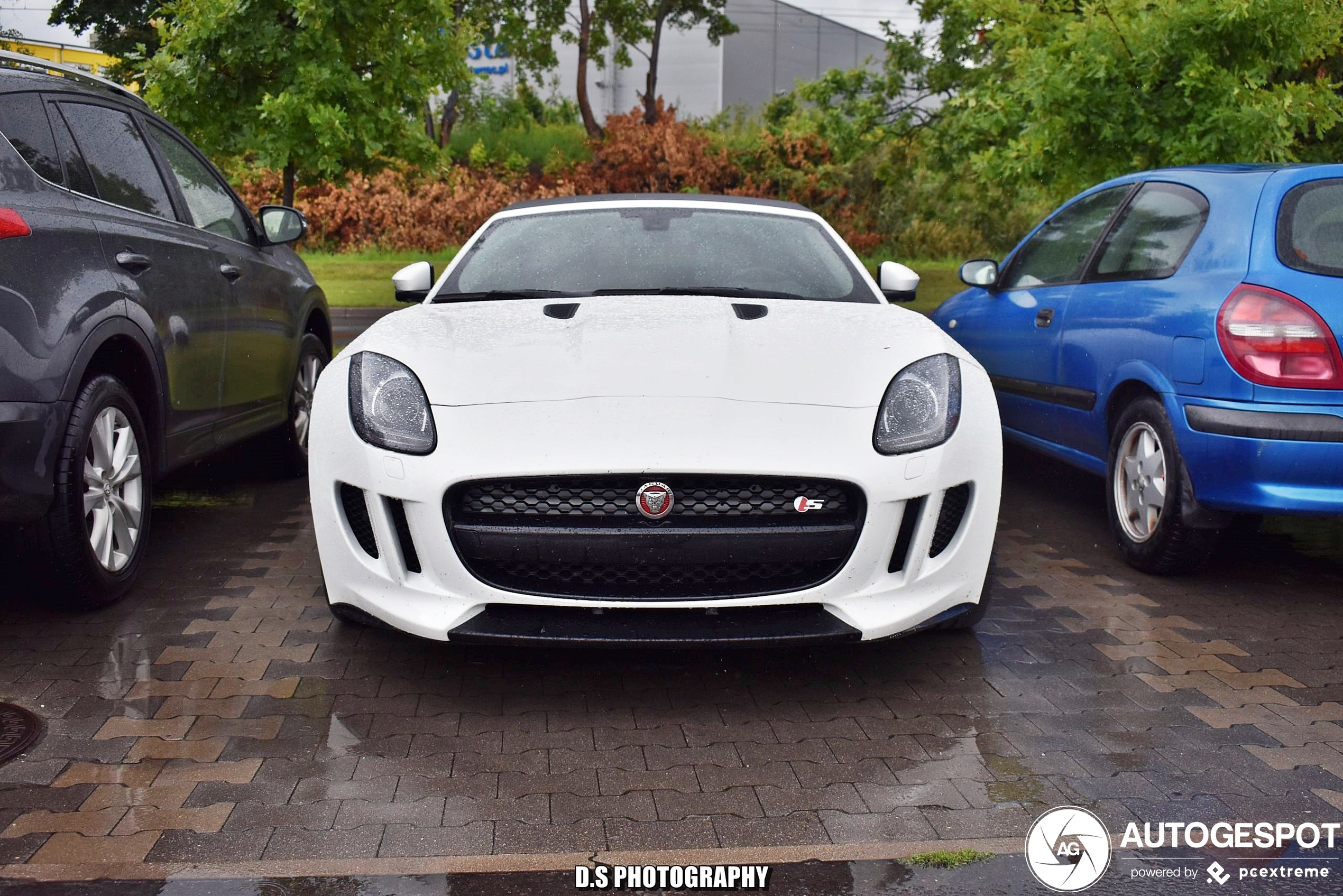 Jaguar F-TYPE S Convertible