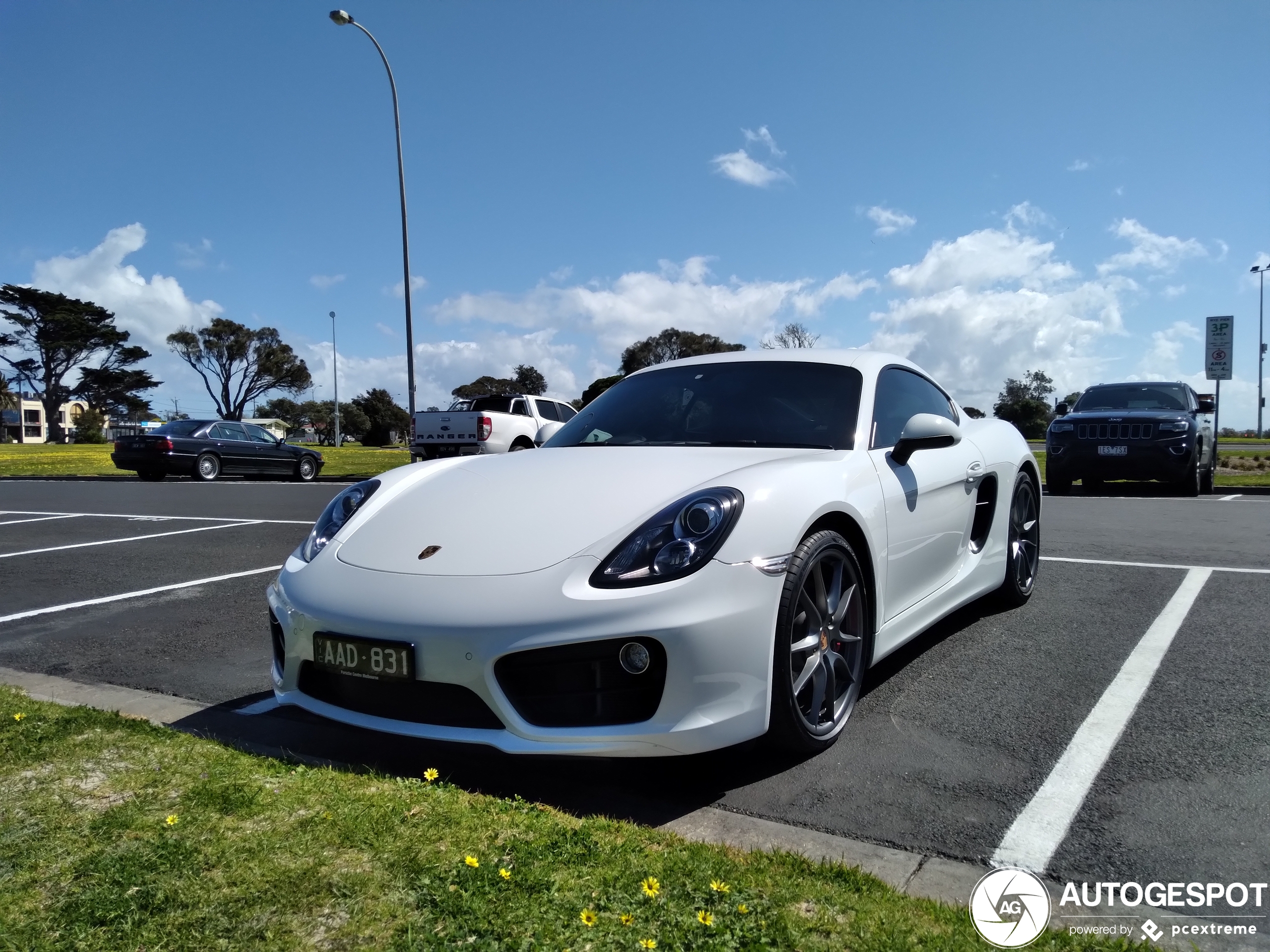 Porsche 981 Cayman S