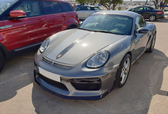 Porsche 987 Cayman S