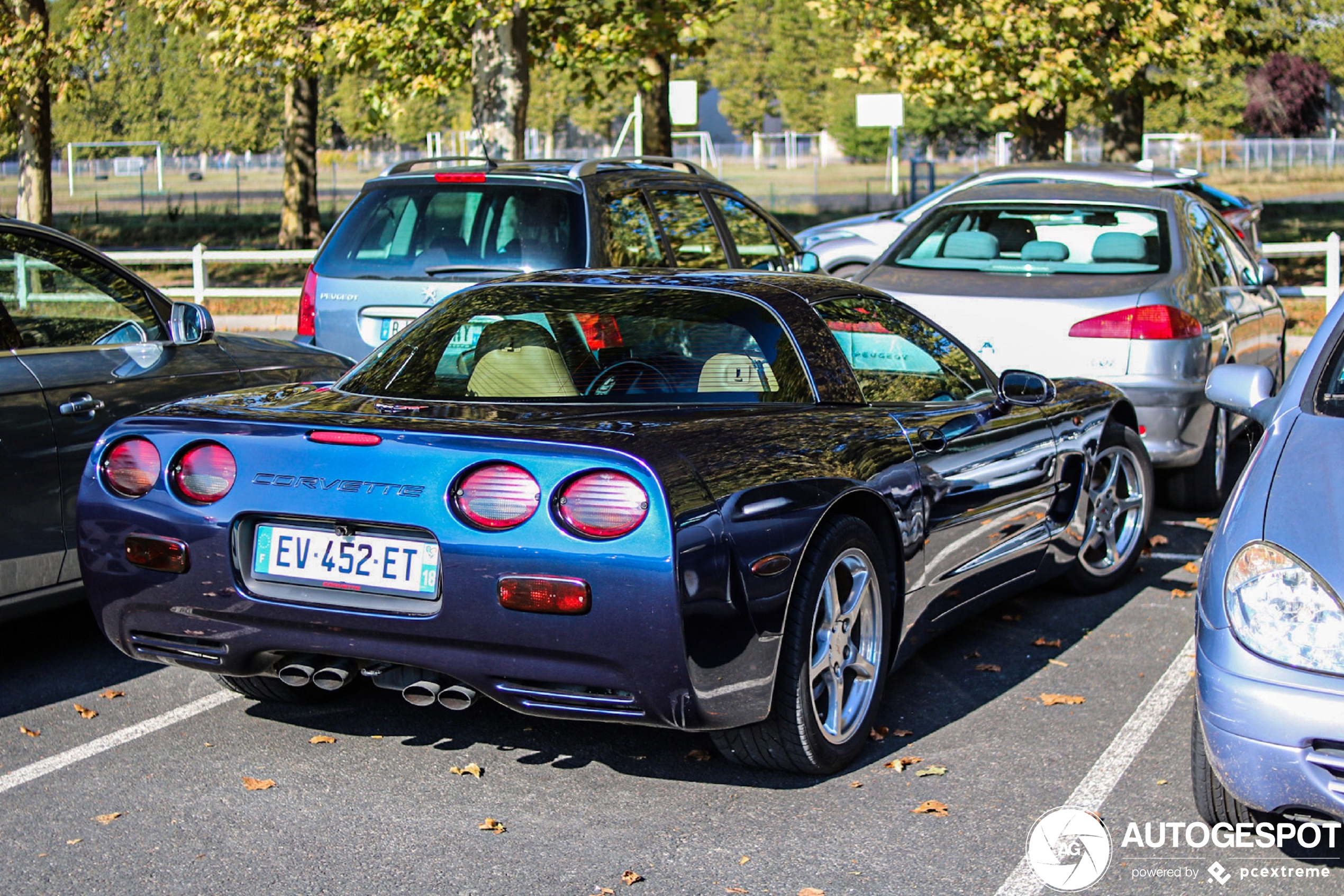 Chevrolet Corvette C5