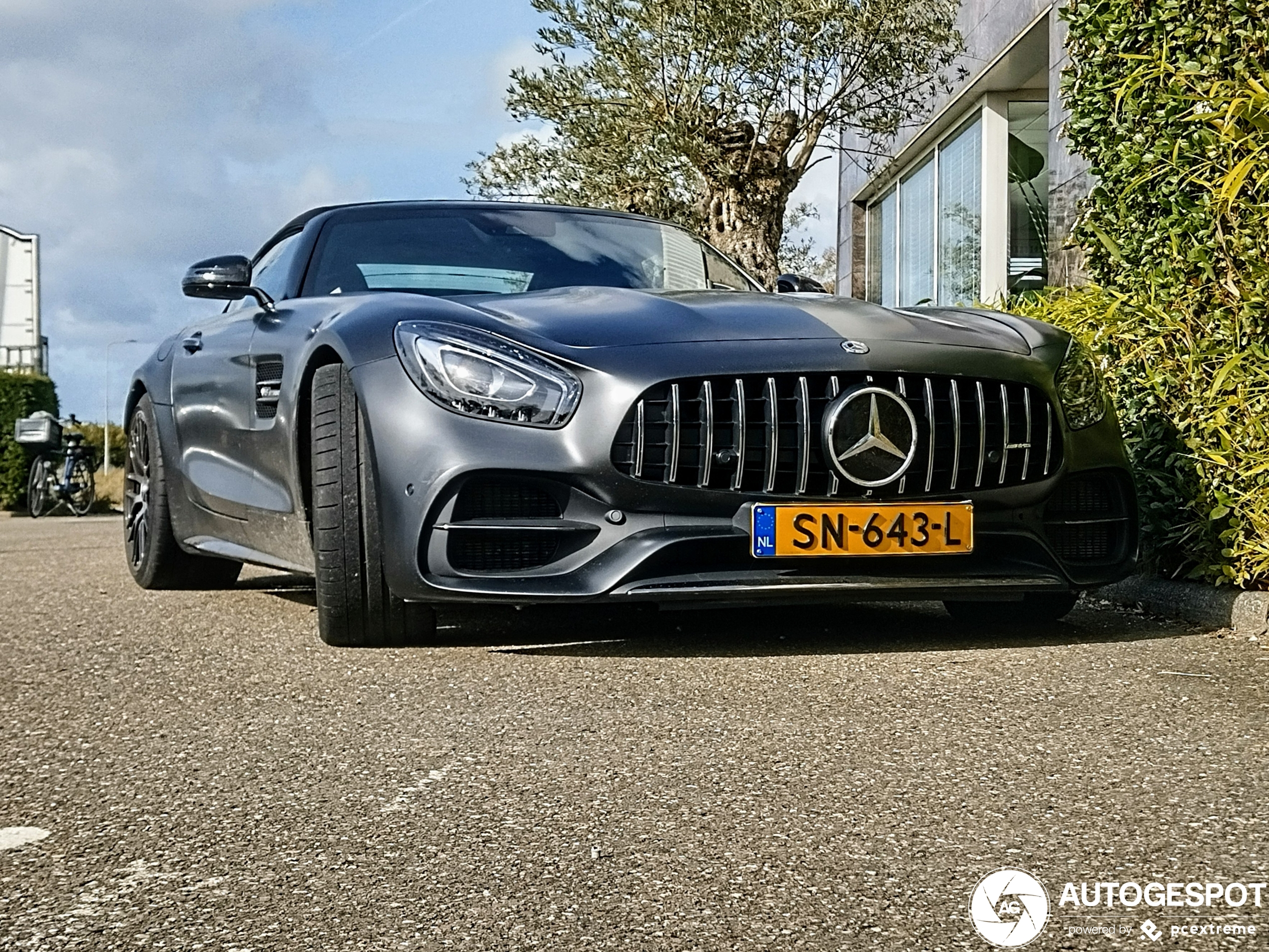 Mercedes-AMG GT C Roadster R190 Edition 50