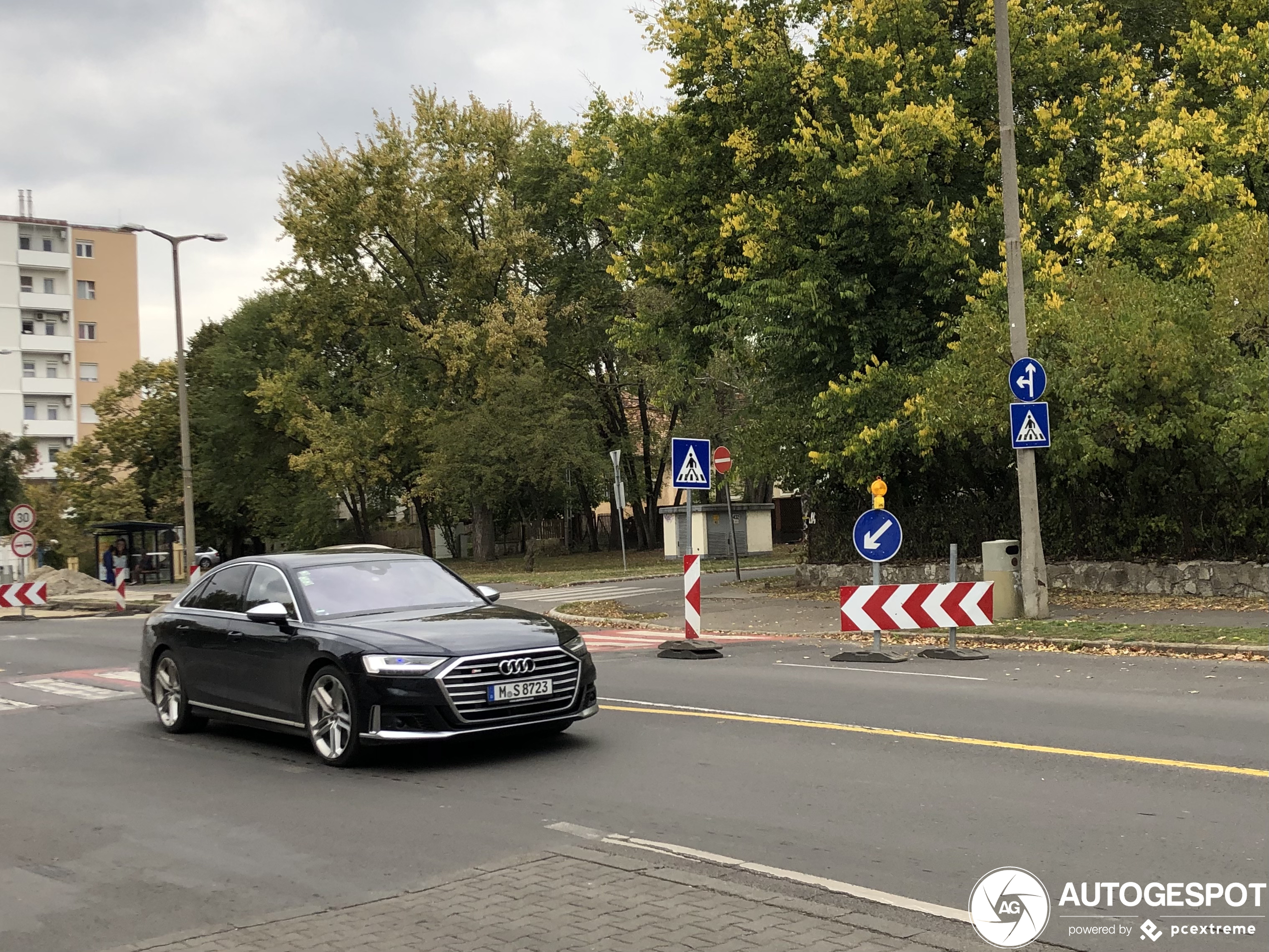 Audi S8 D5