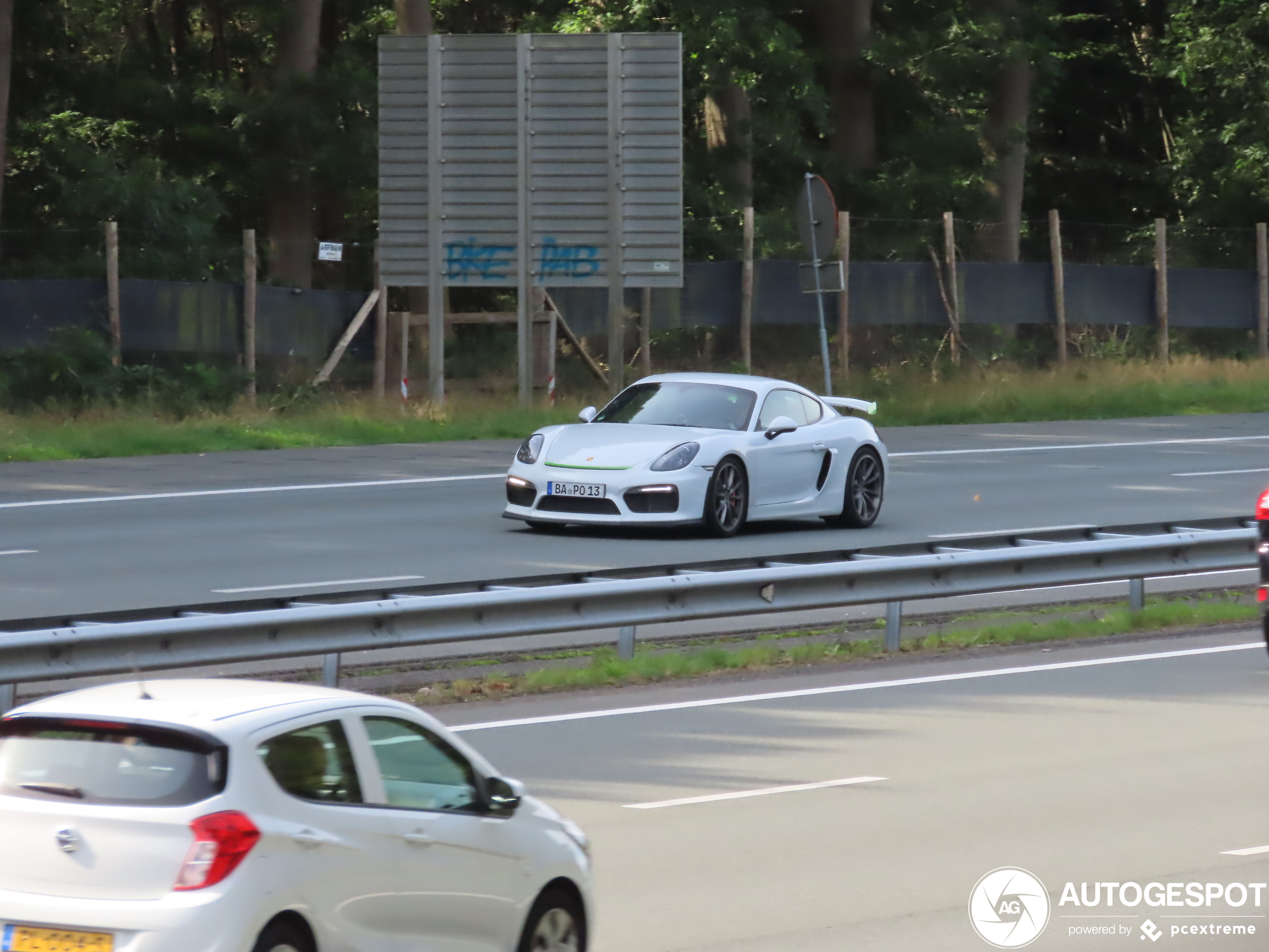 Porsche 981 Cayman GT4