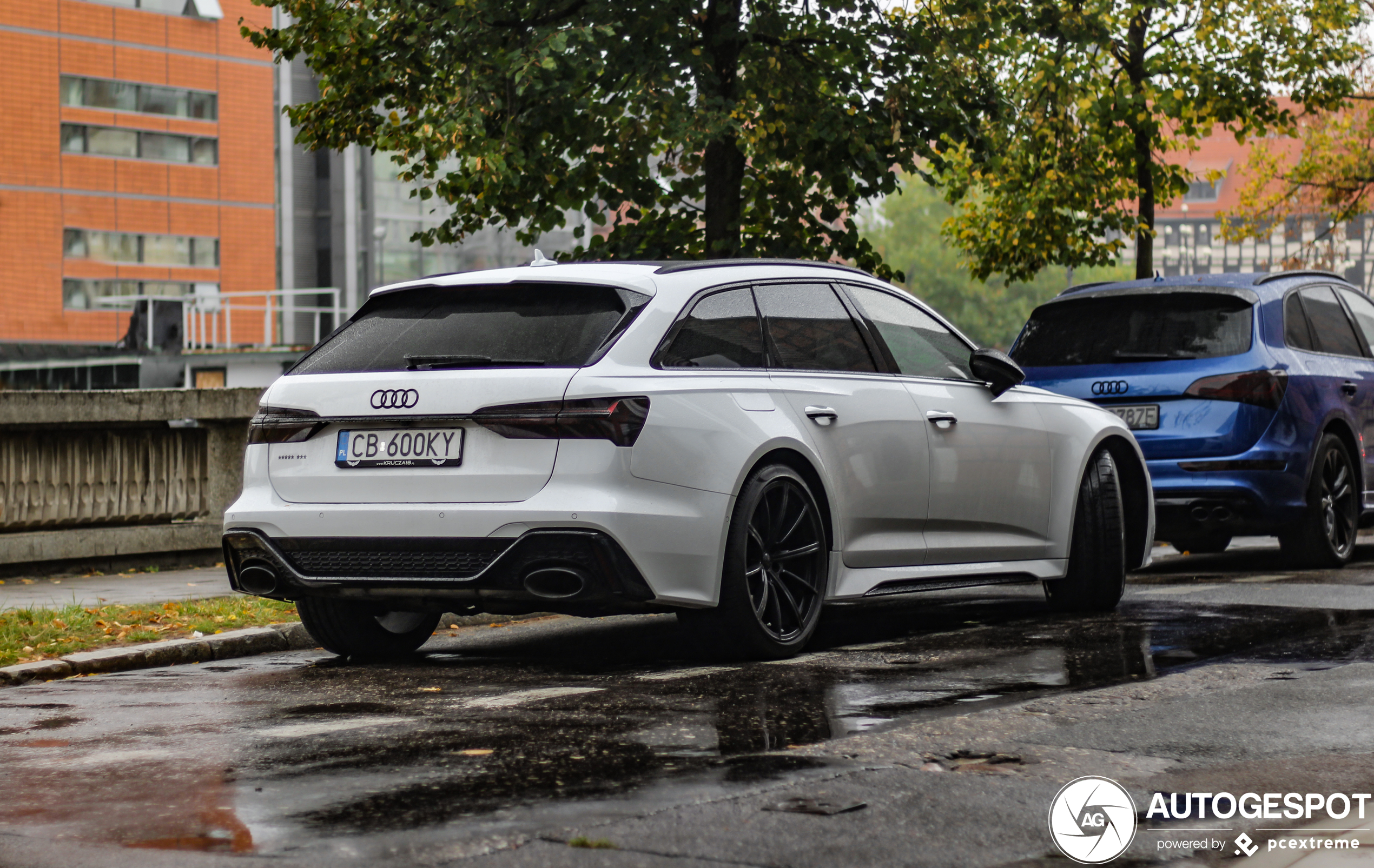 Audi RS6 Avant C8