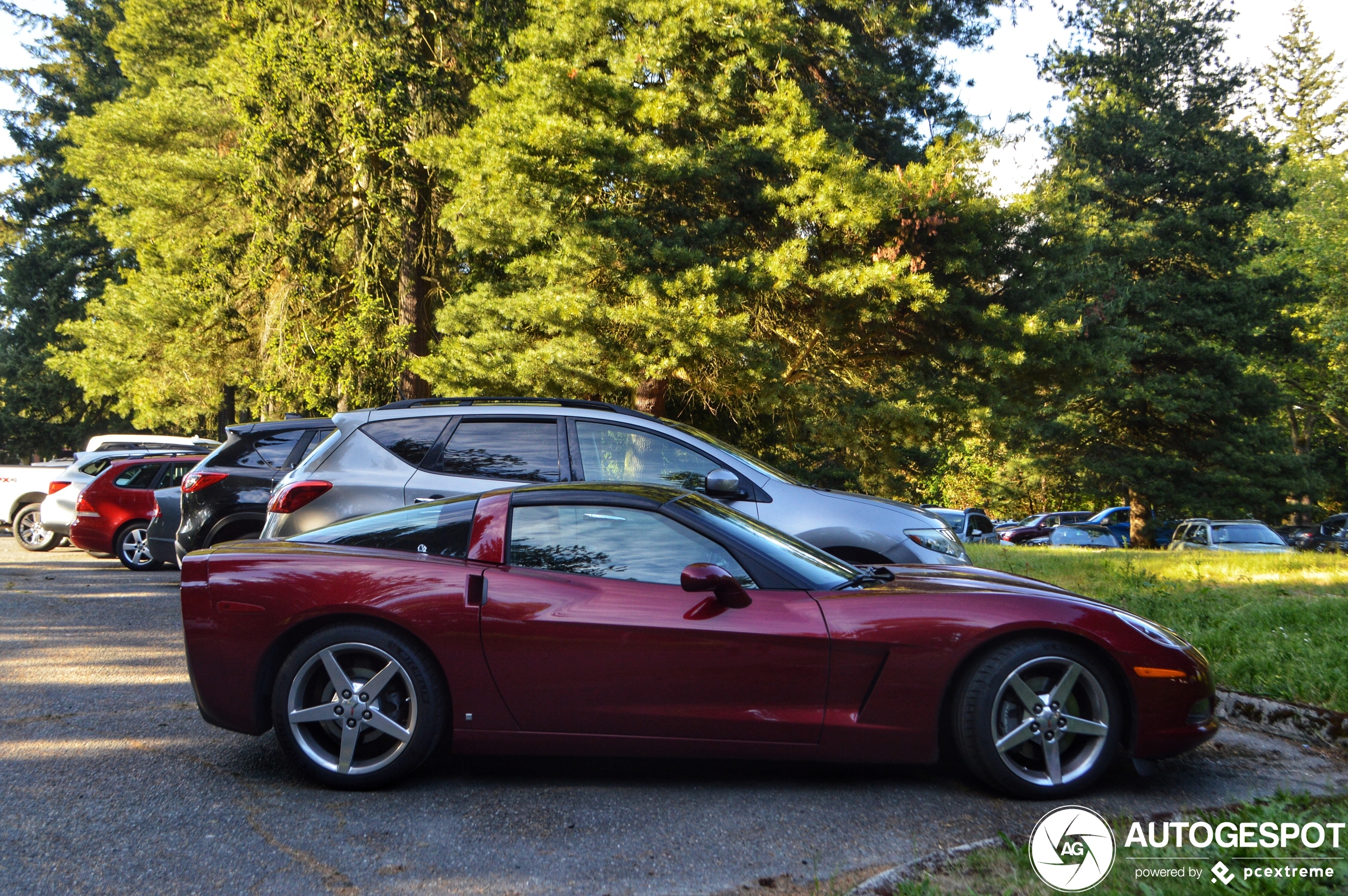 Chevrolet Corvette C6