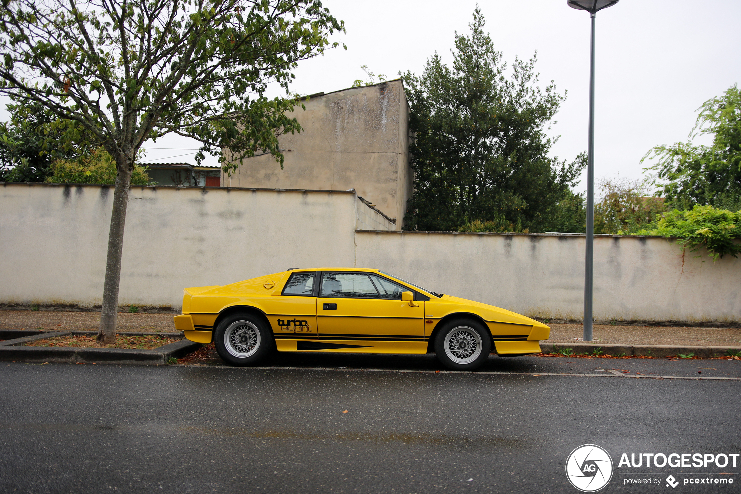 Lotus Turbo Esprit HC