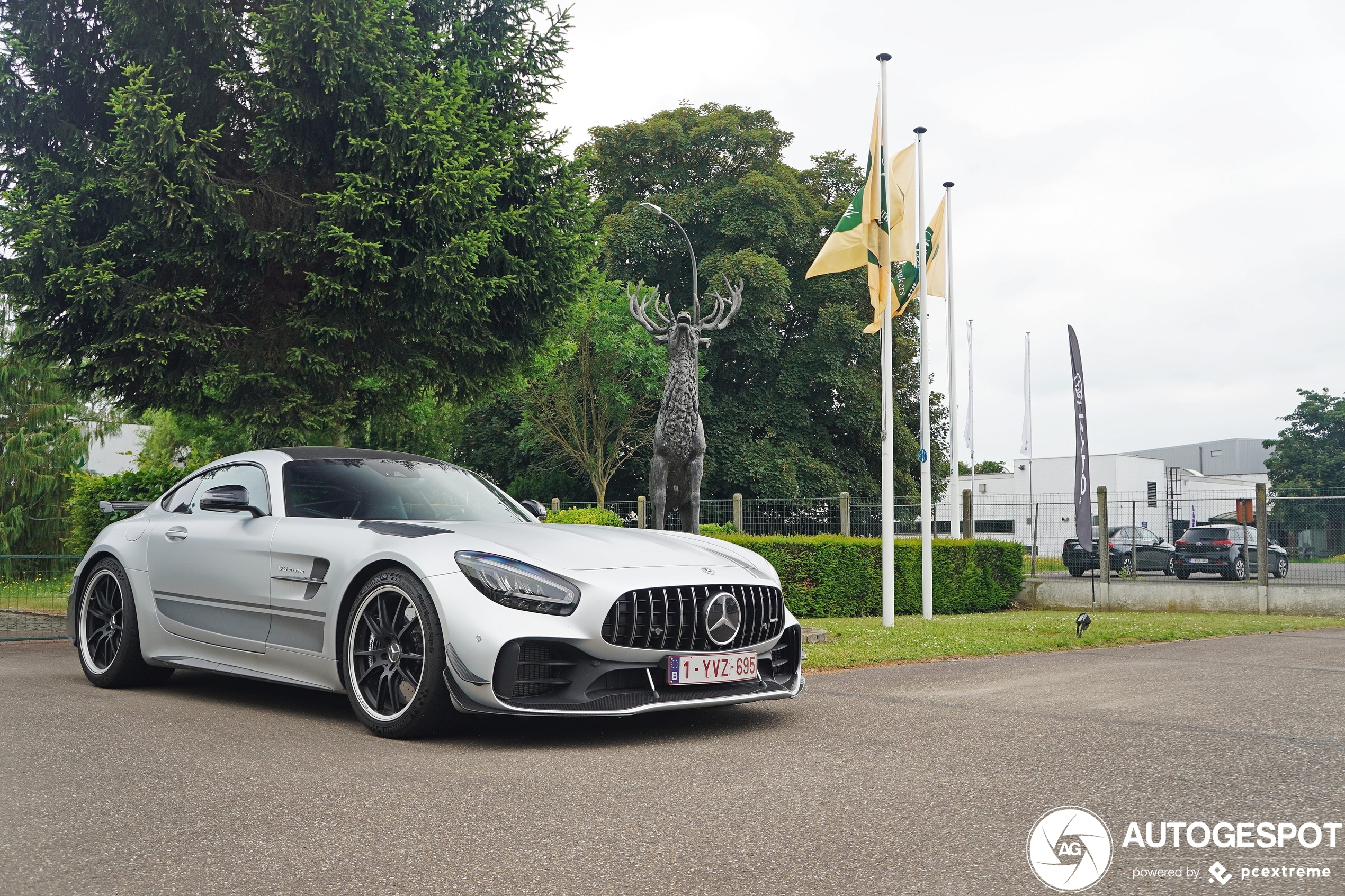 Mercedes-AMG GT R Pro C190