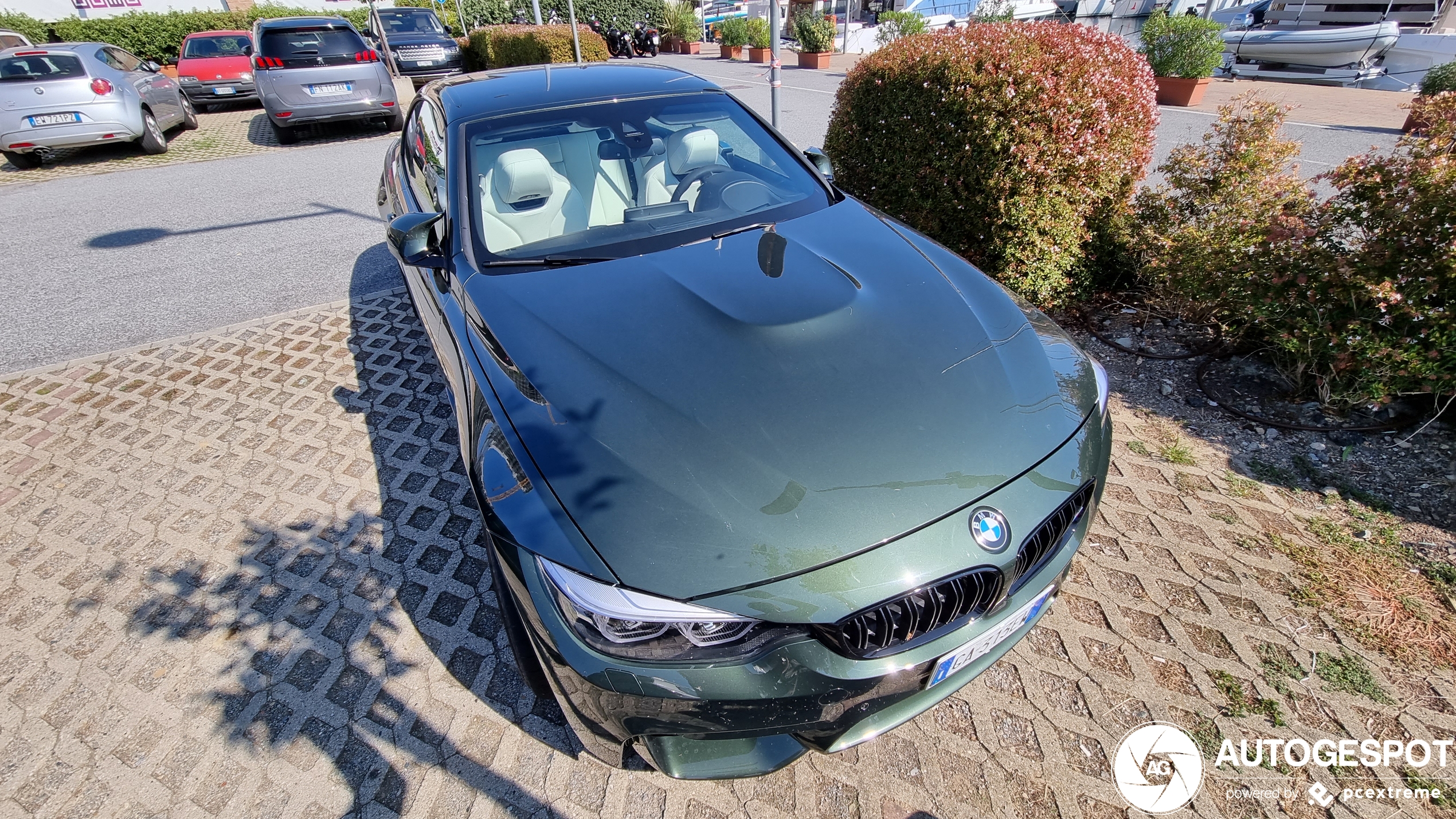 BMW M4 F83 Convertible