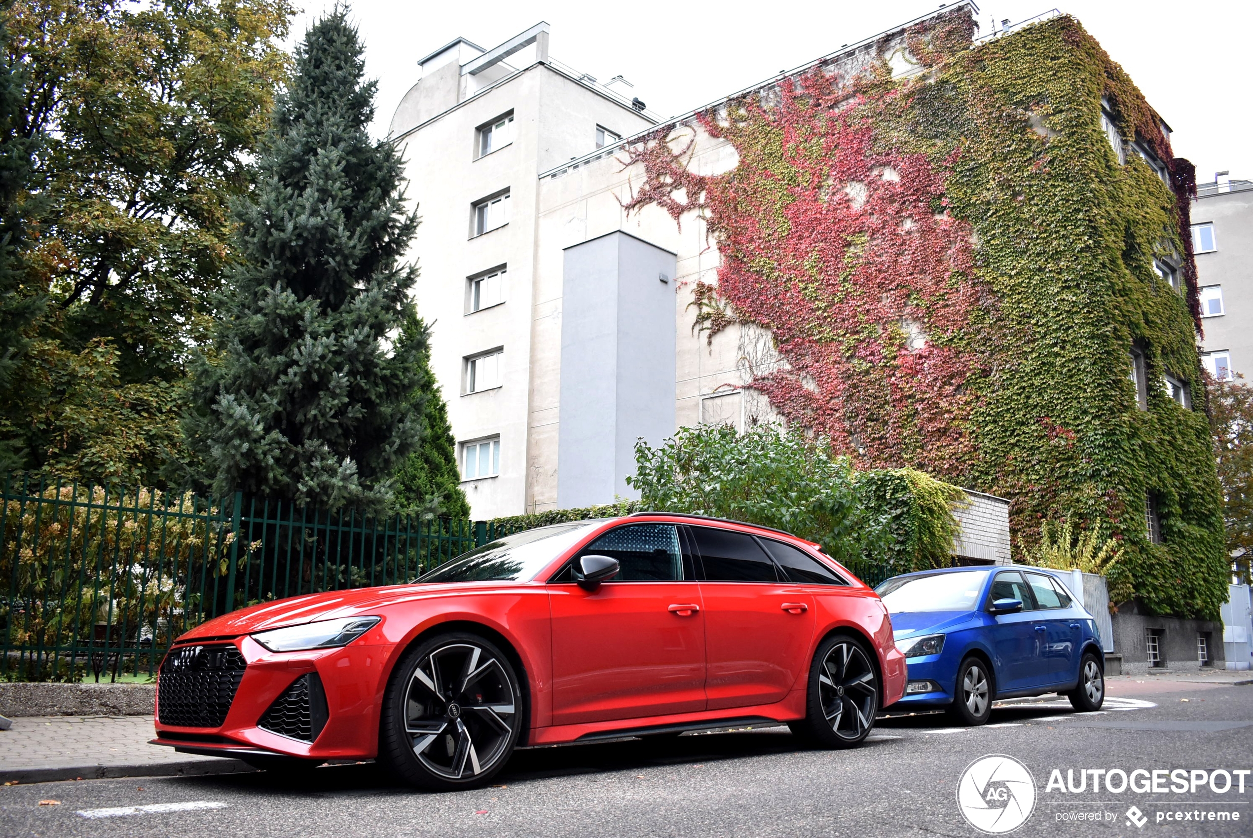 Audi RS6 Avant C8