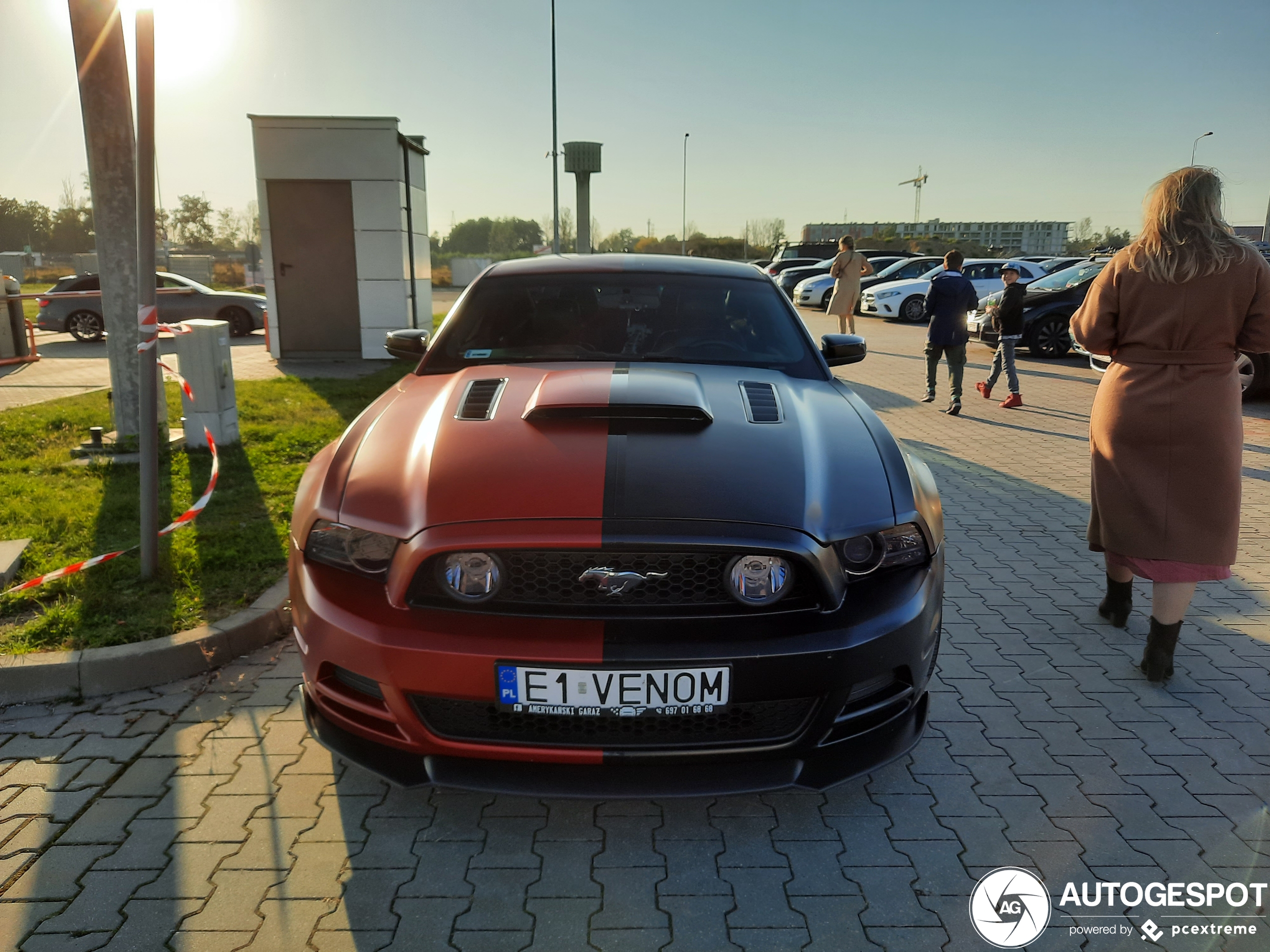 Ford Mustang GT 2013