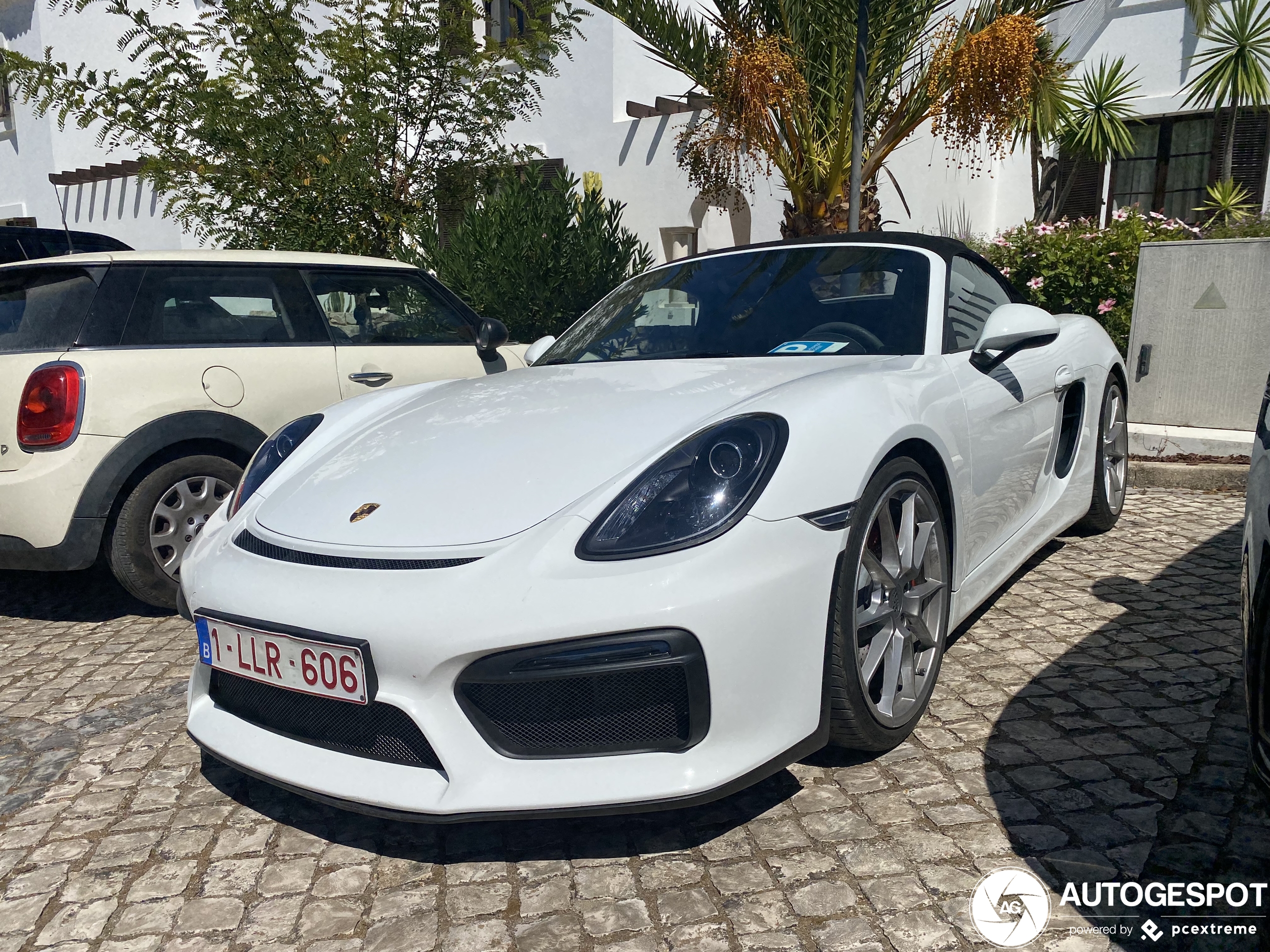 Porsche 981 Boxster Spyder