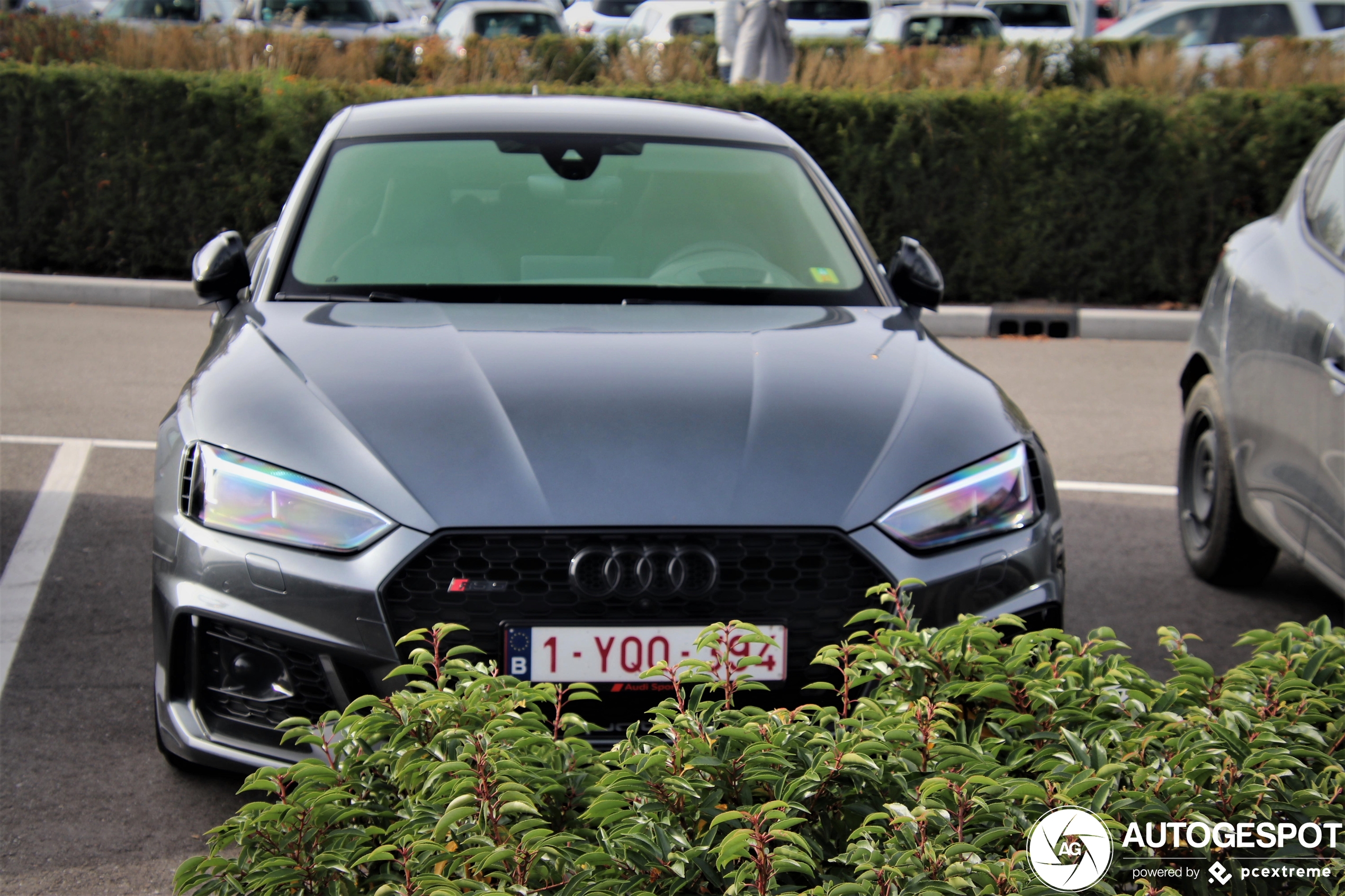 Audi RS5 Sportback B9