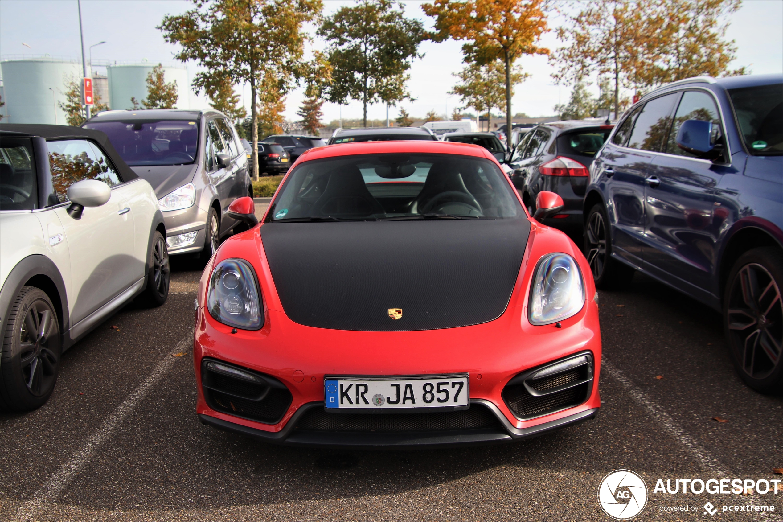 Porsche 981 Cayman GTS