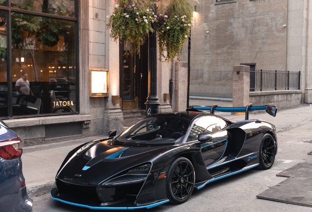 McLaren Senna