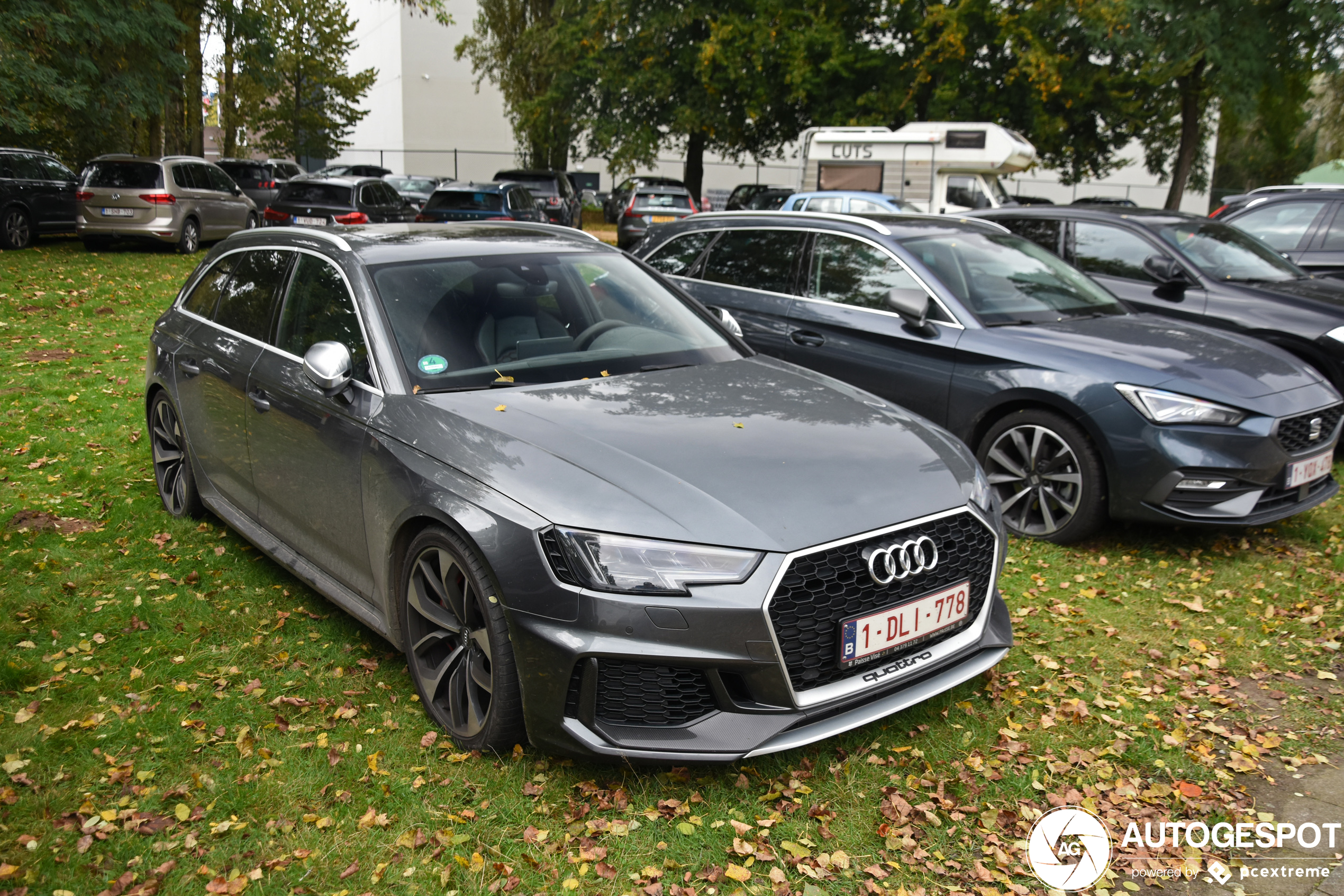 Audi RS4 Avant B9