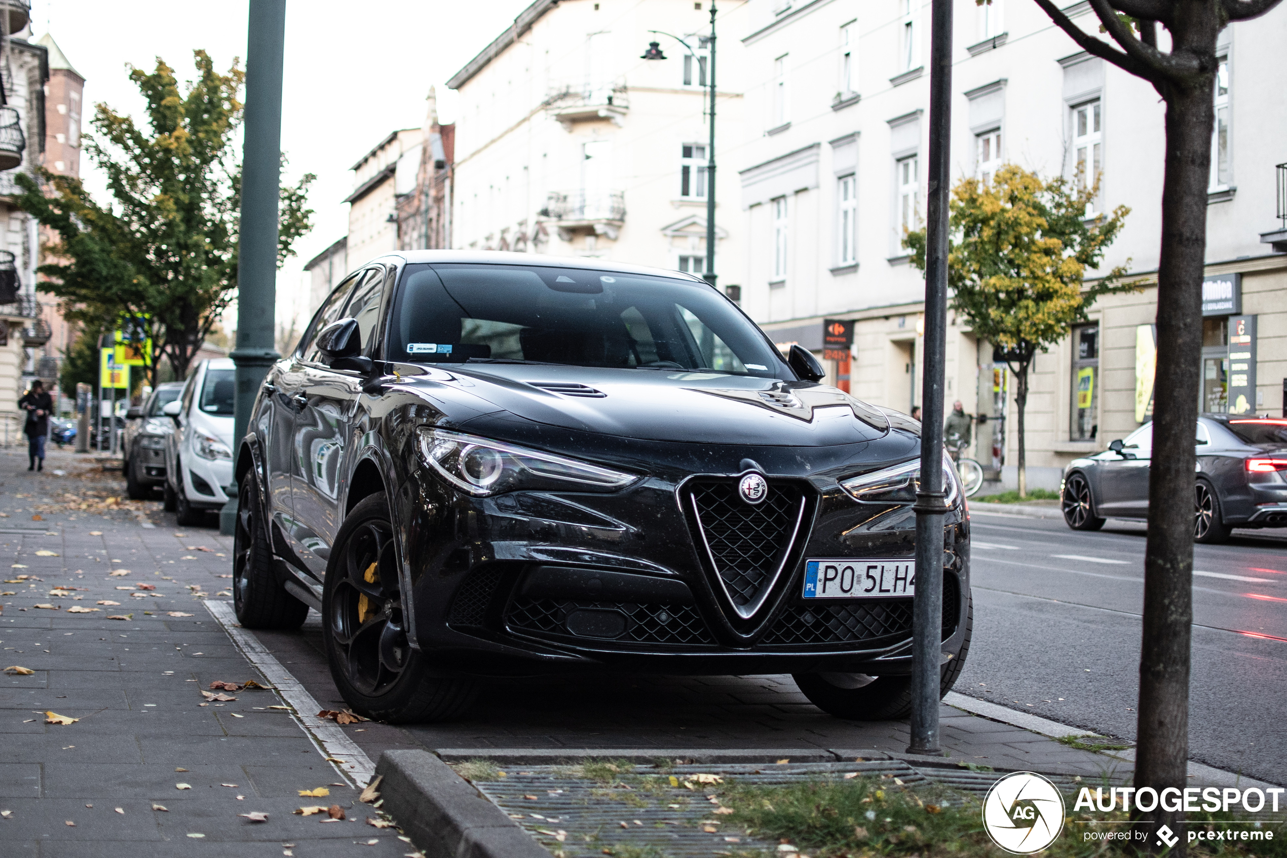 Alfa Romeo Stelvio Quadrifoglio