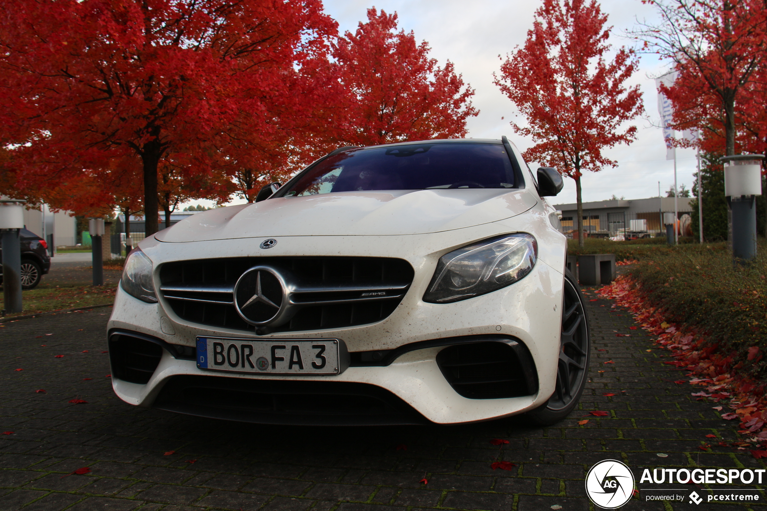 Mercedes-AMG E 63 S Estate S213